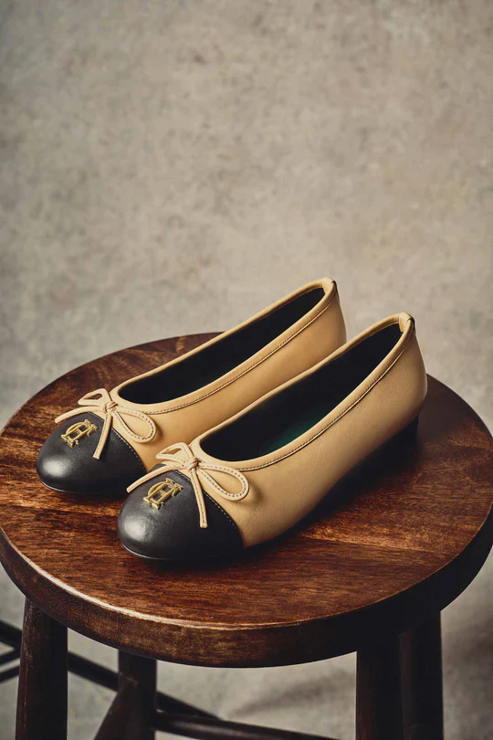 Ballet Shoe