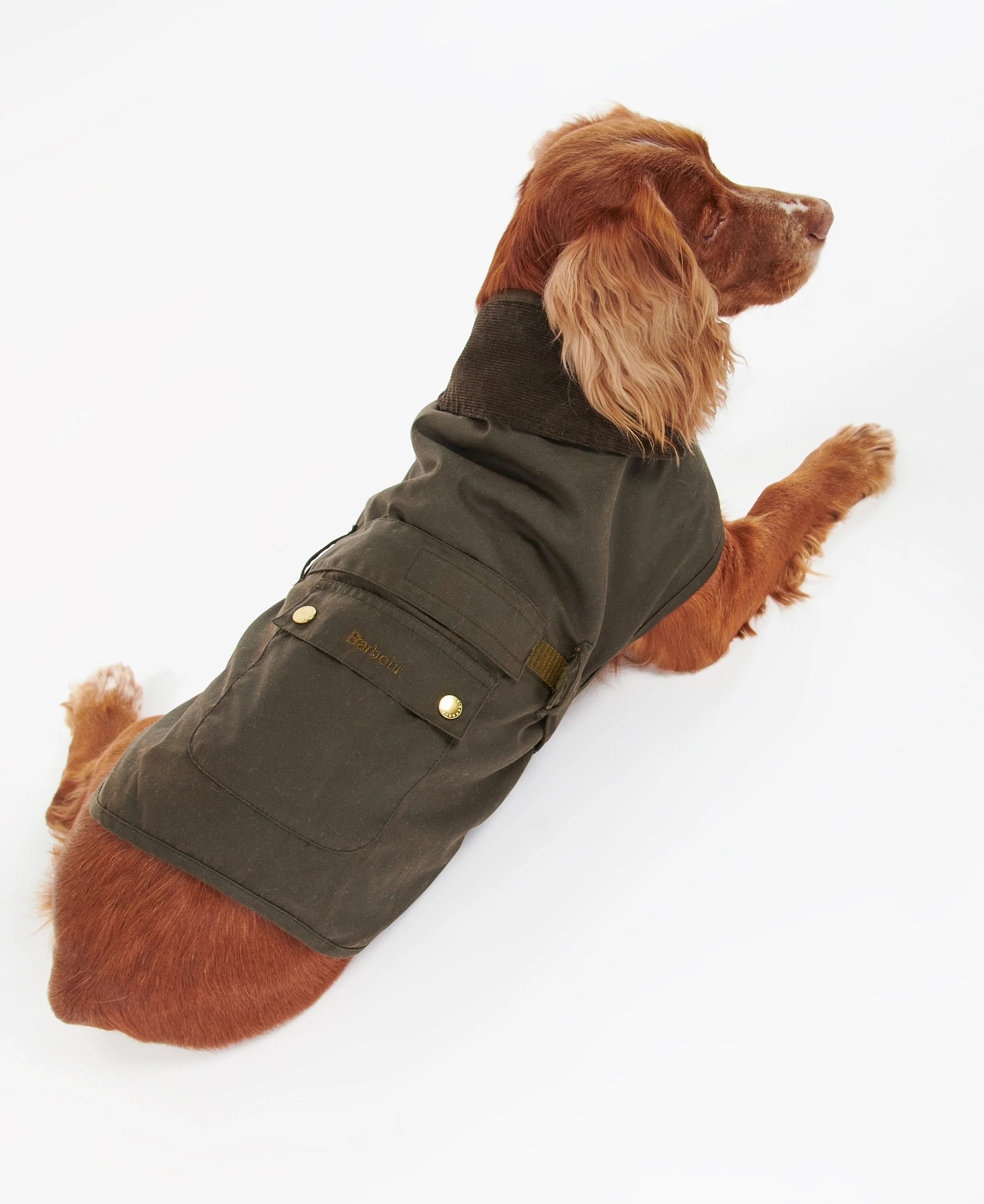 2 in 1 Wax Dog Coat - Image 3