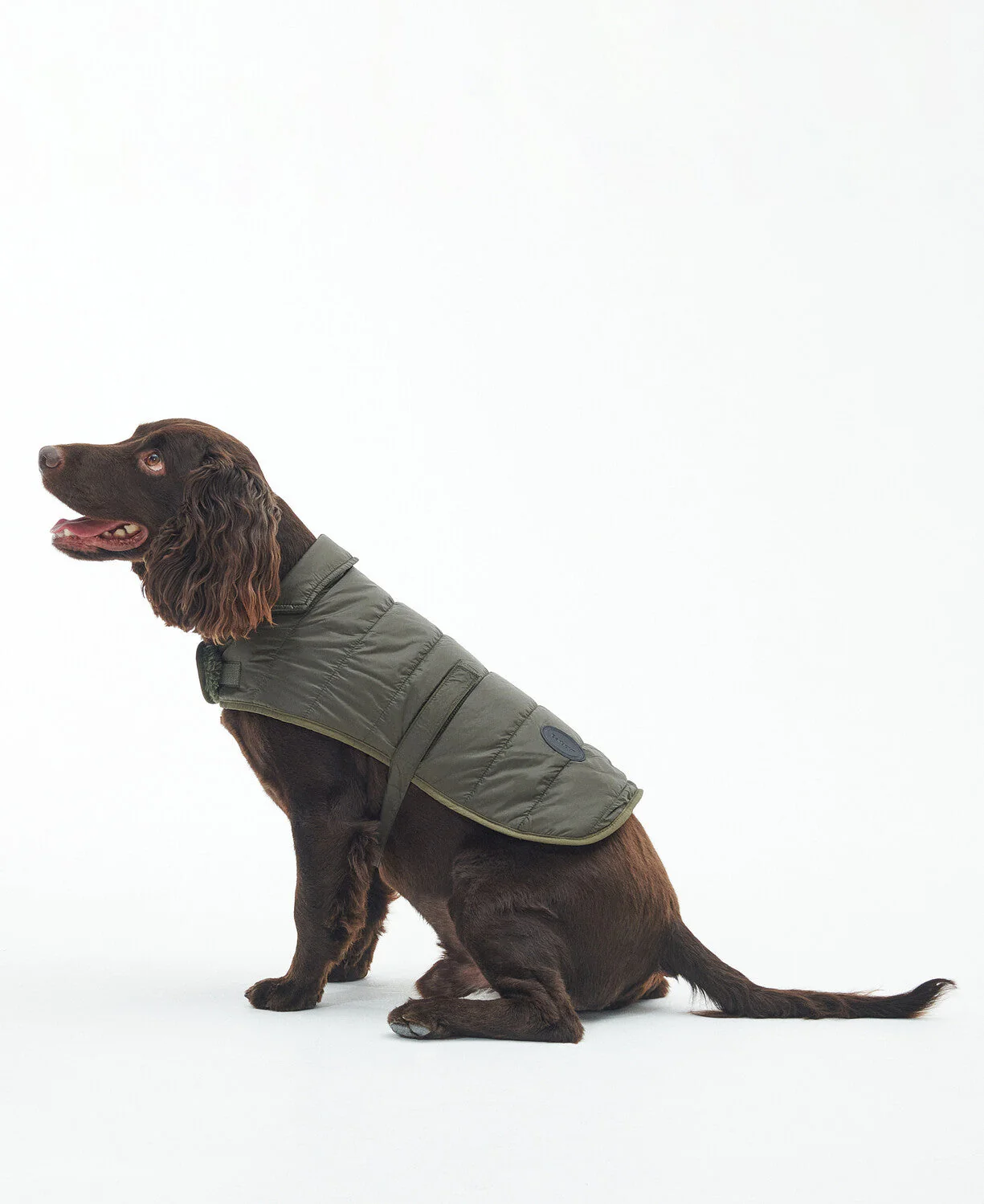 Baffle Quilted Dog Coat - Image 2