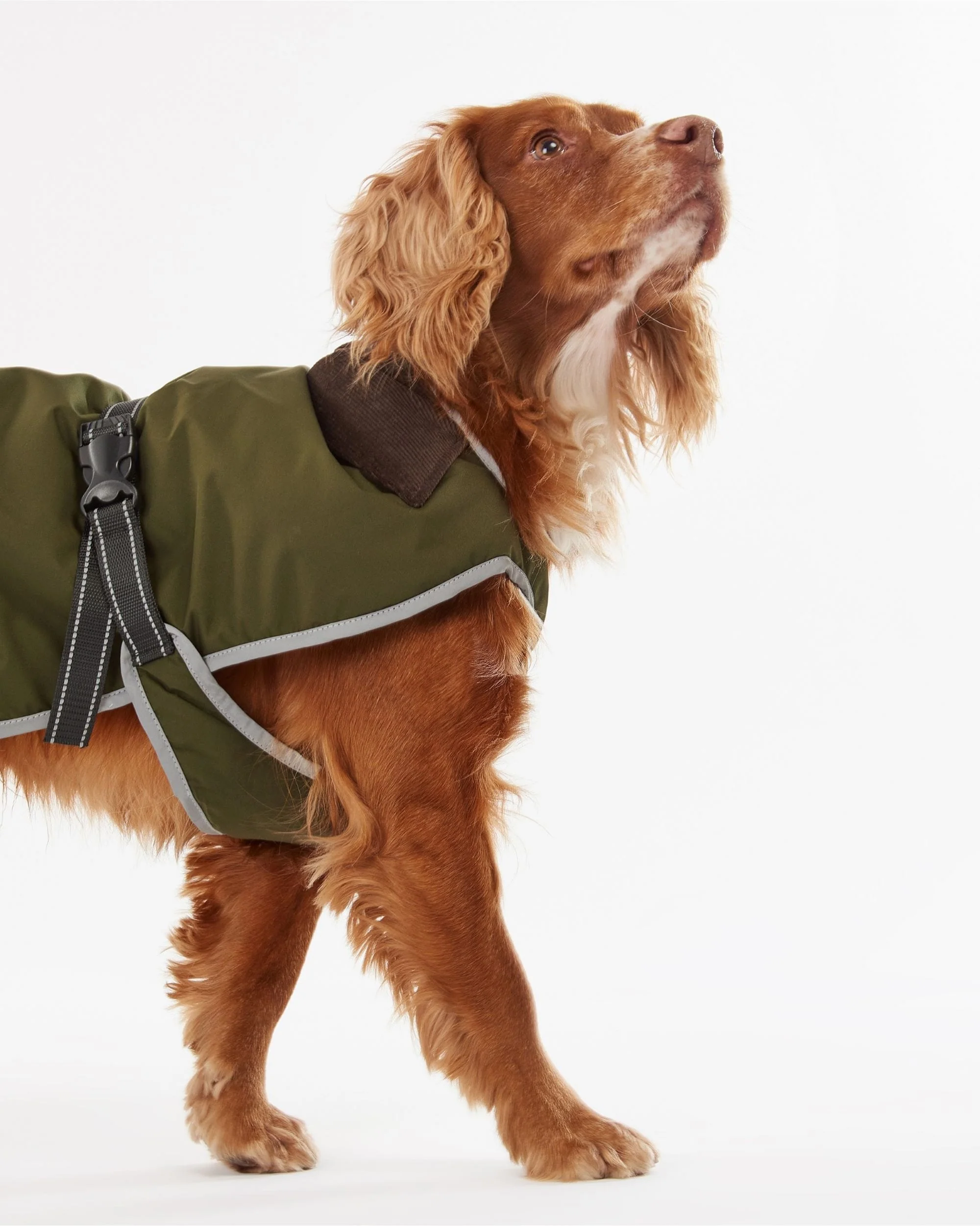Barbour Monmouth Waterproof Dog Coat - Image 5