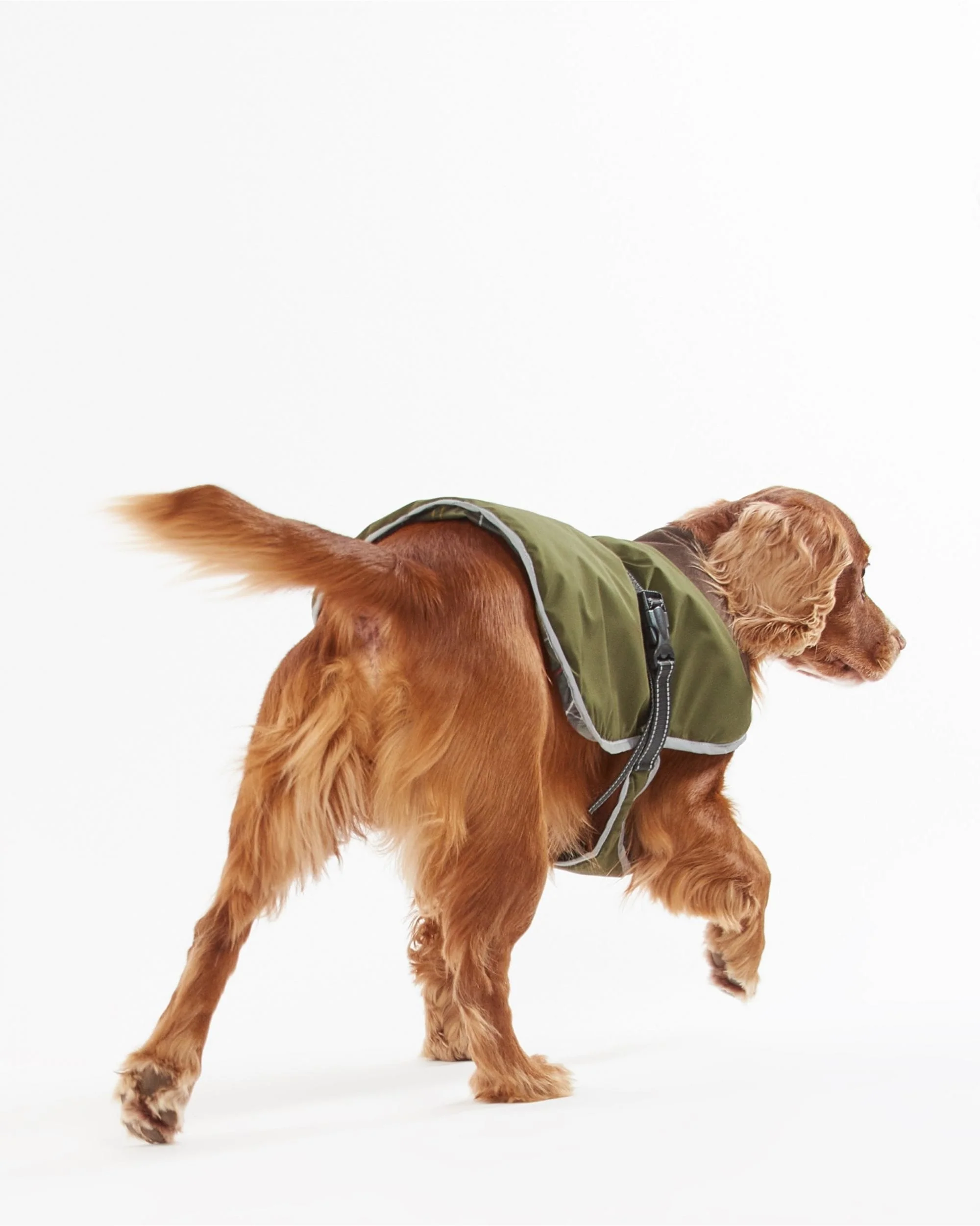 Barbour Monmouth Waterproof Dog Coat - Image 6