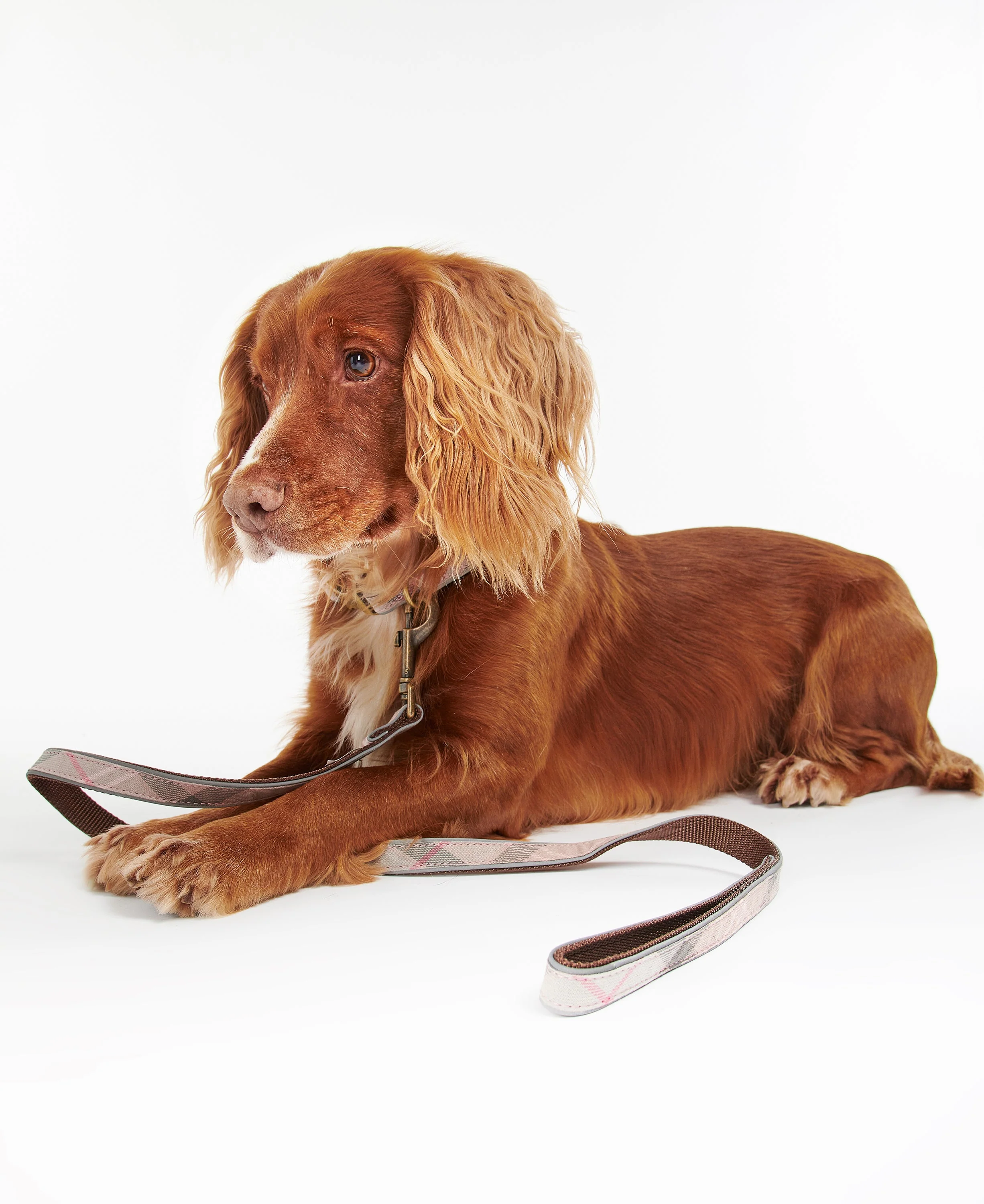 Barbour Reflective Tartan Dog Lead - Image 14