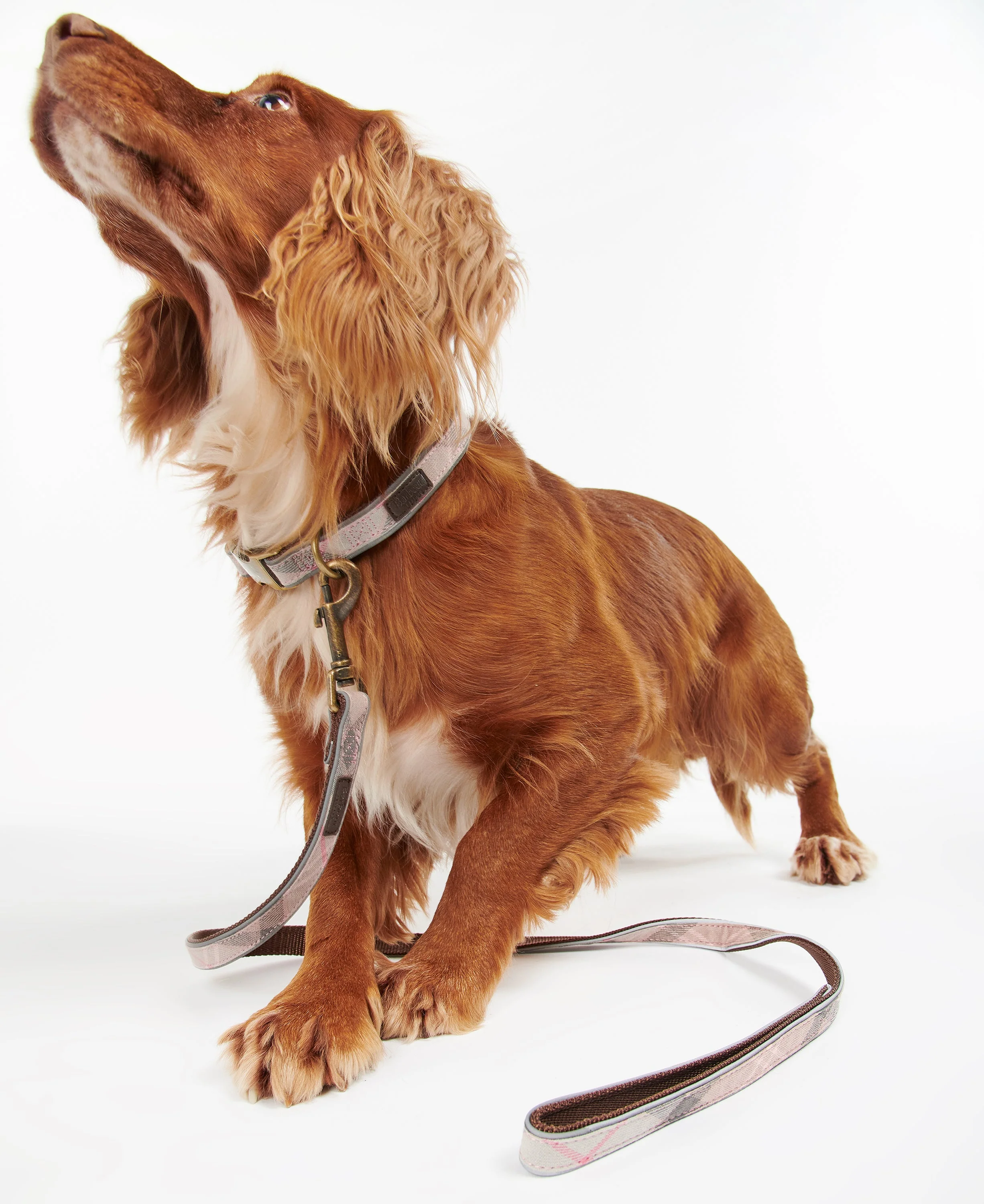 Barbour Reflective Tartan Dog Lead - Image 16