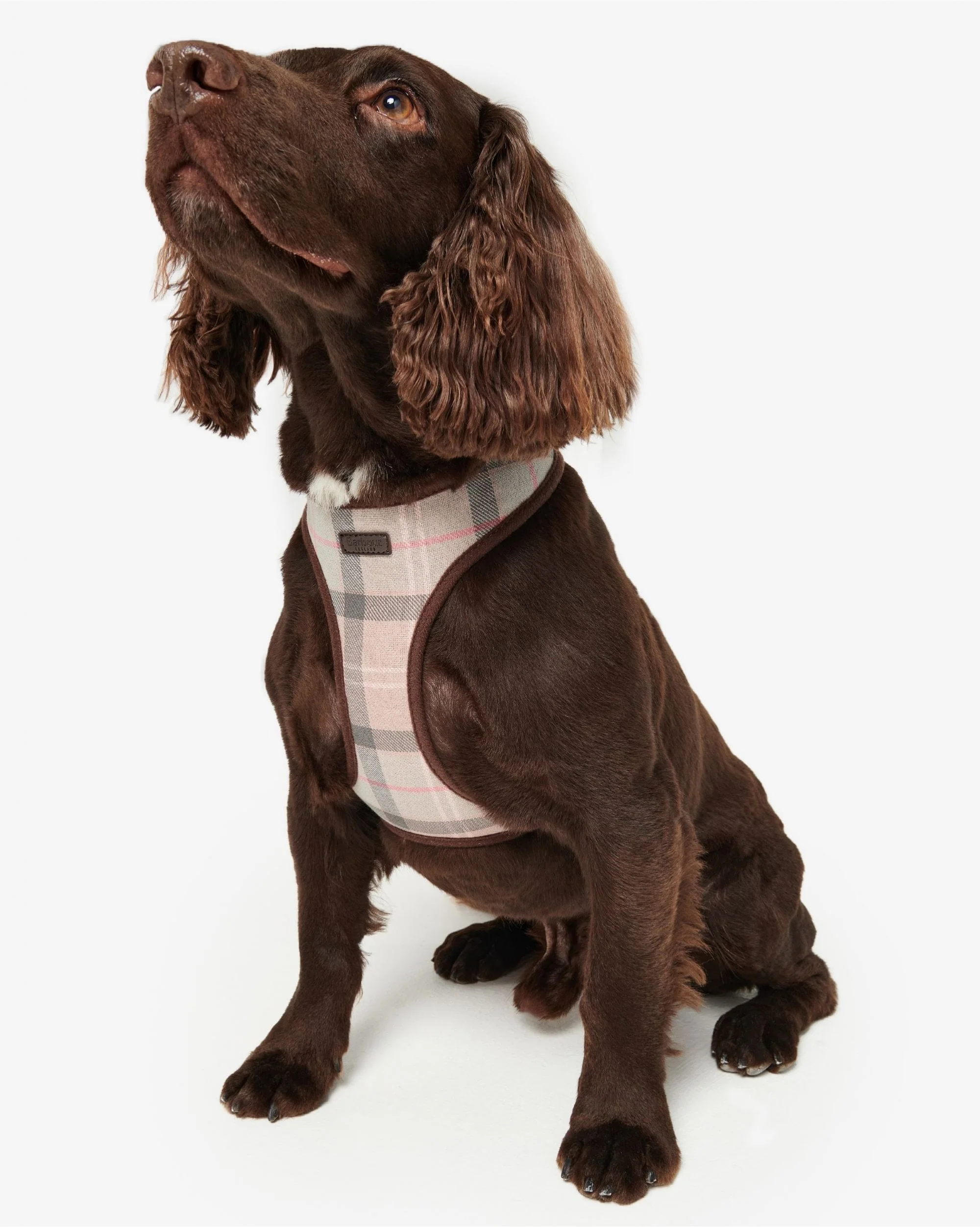 Barbour Tartan Dog Harness - Image 10