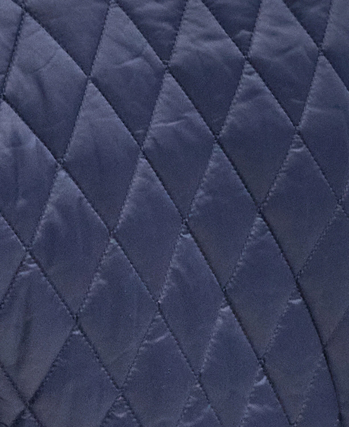 Beadnell Fitted Quilted Jacket - Image 8