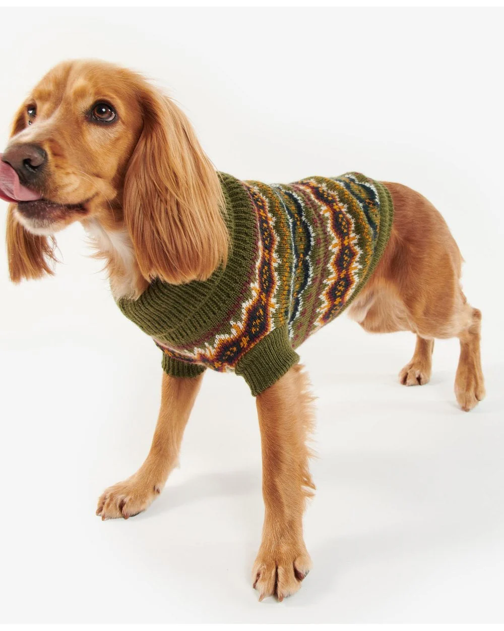 Case Fairisle Dog Jumper - Image 24