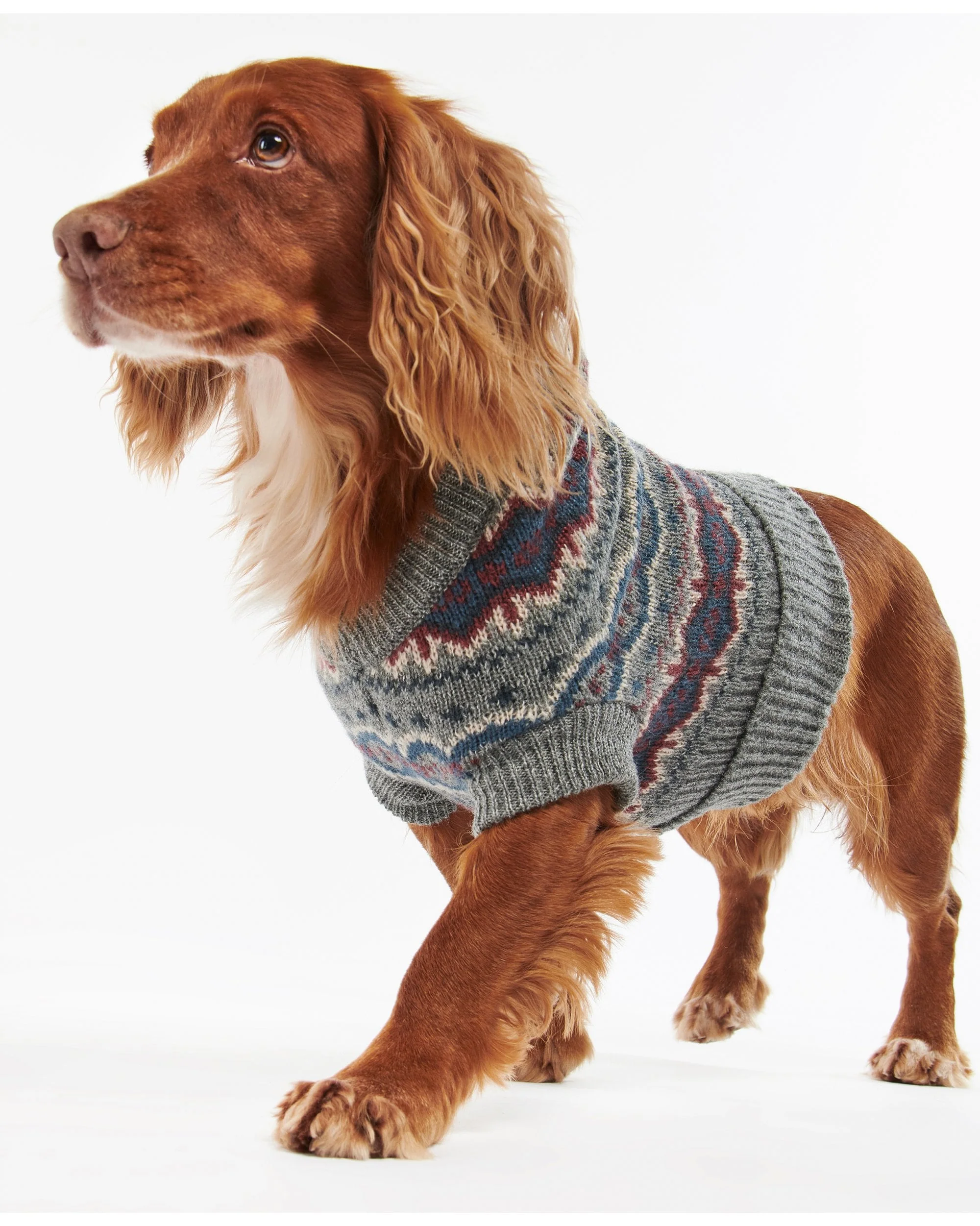 Case Fairisle Dog Jumper - Image 8