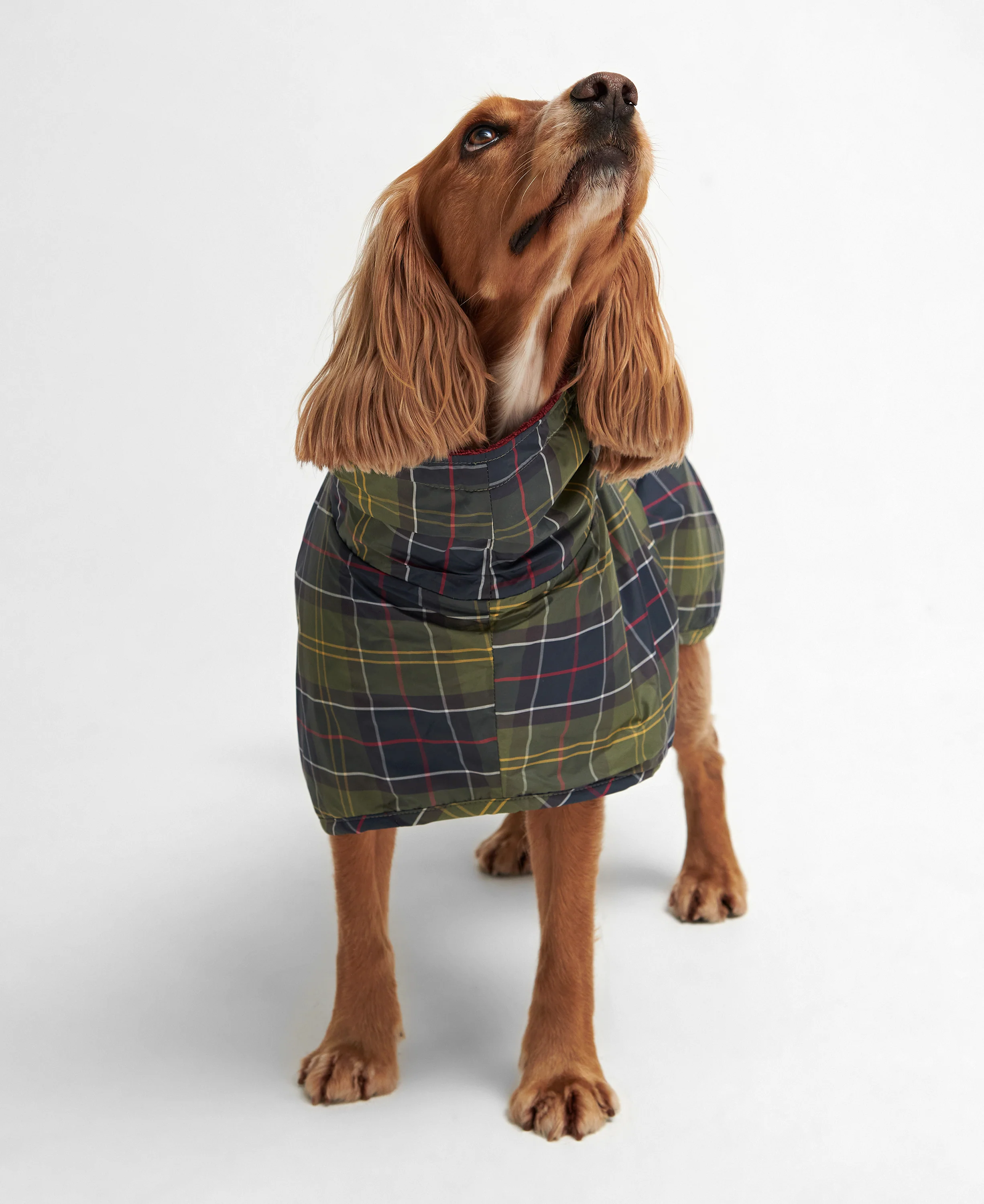Tartan Dog Drying Robe - Image 3