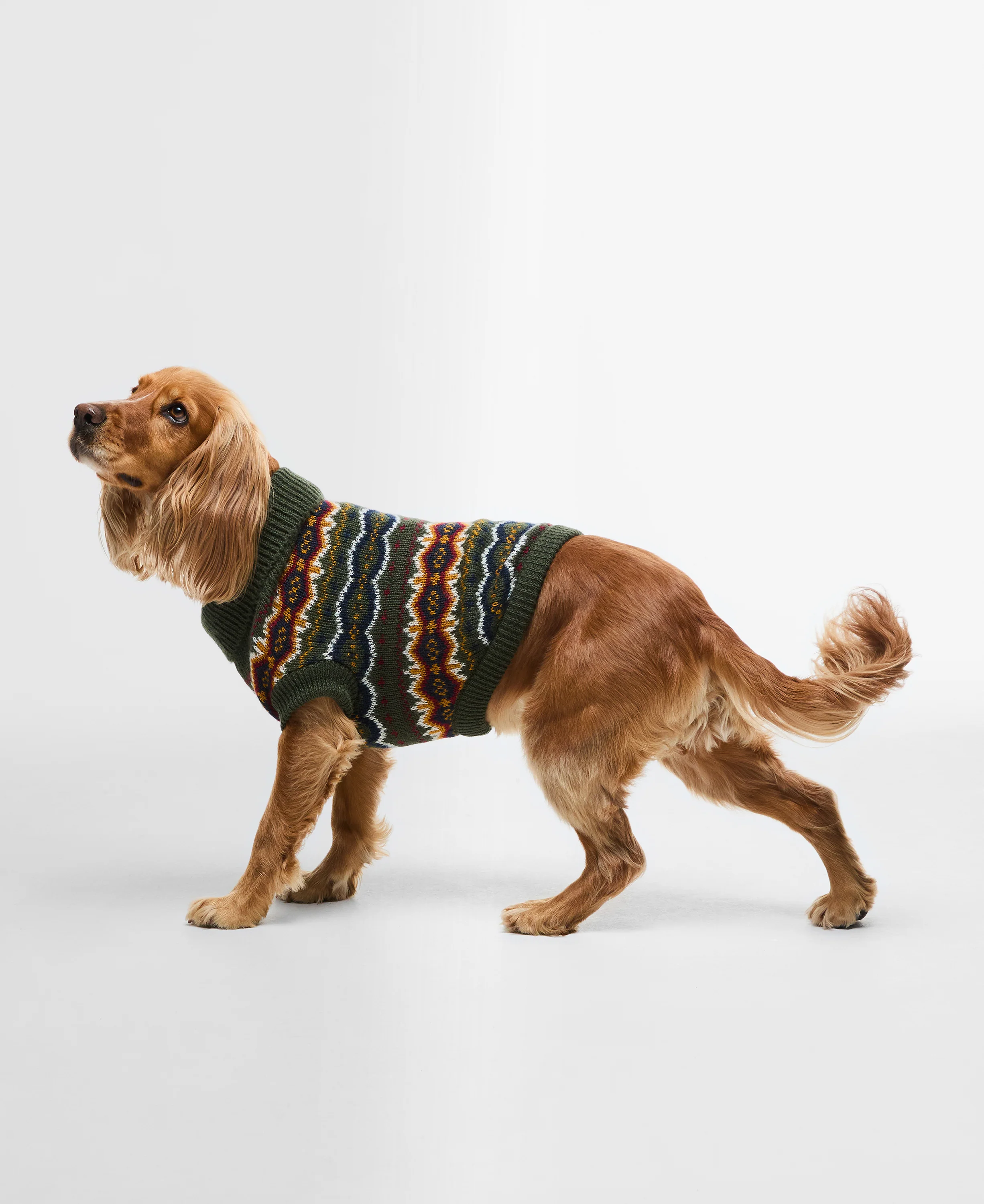 Fair Isle Dog Gift Set - Image 2