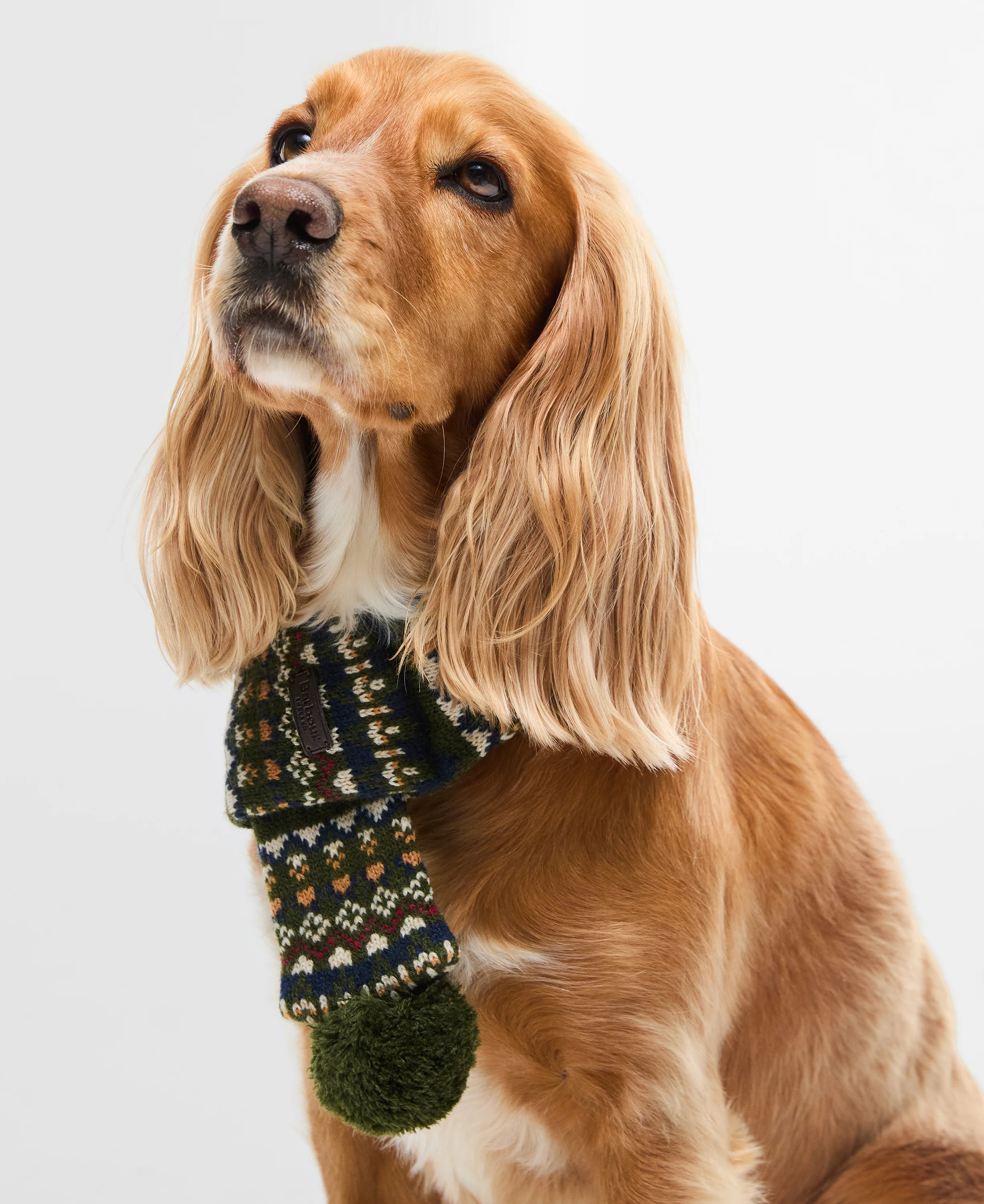 Marlow Fair Isle Dog Scarf - Image 2