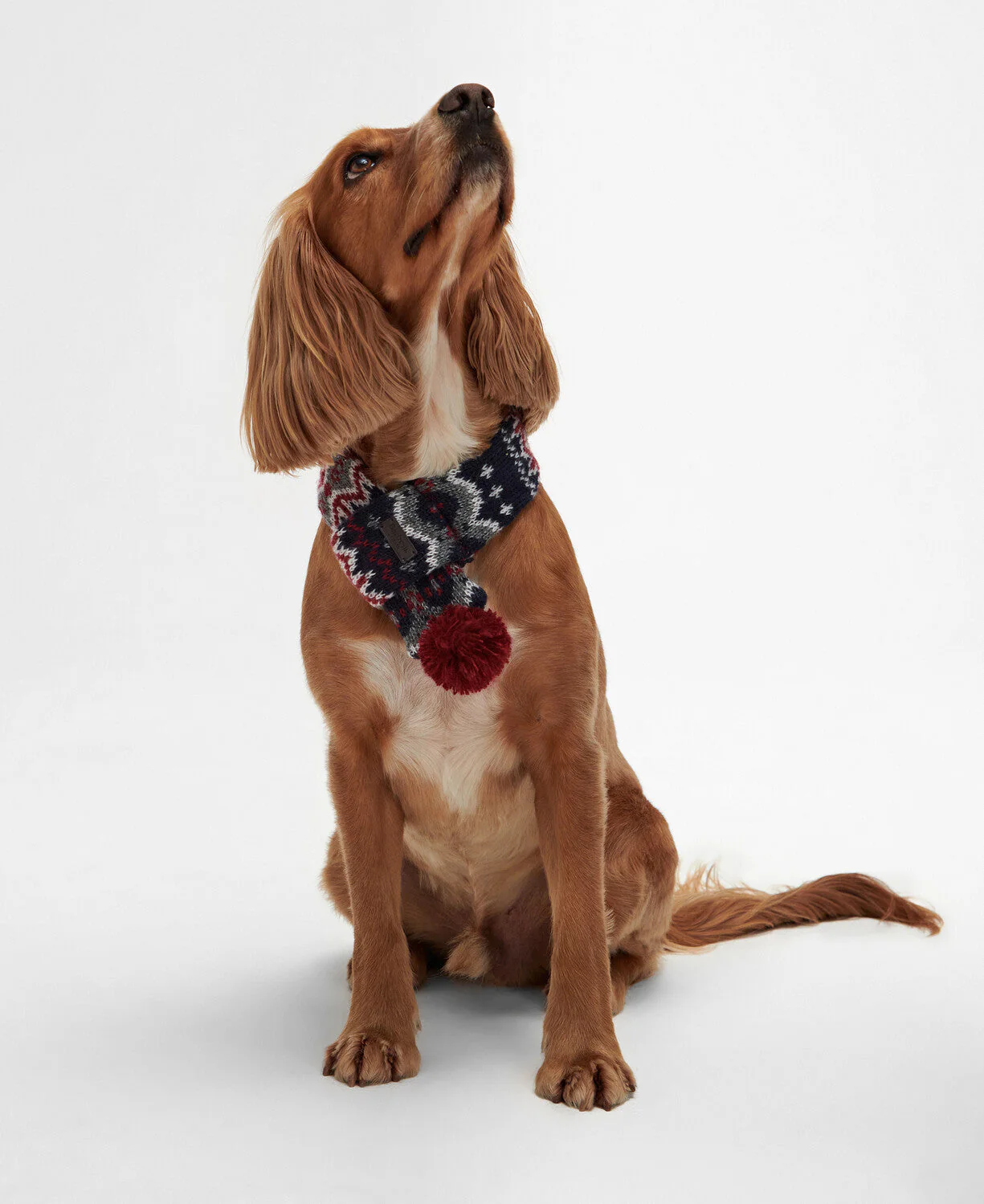 Fairisle Dog Scarf - Image 2