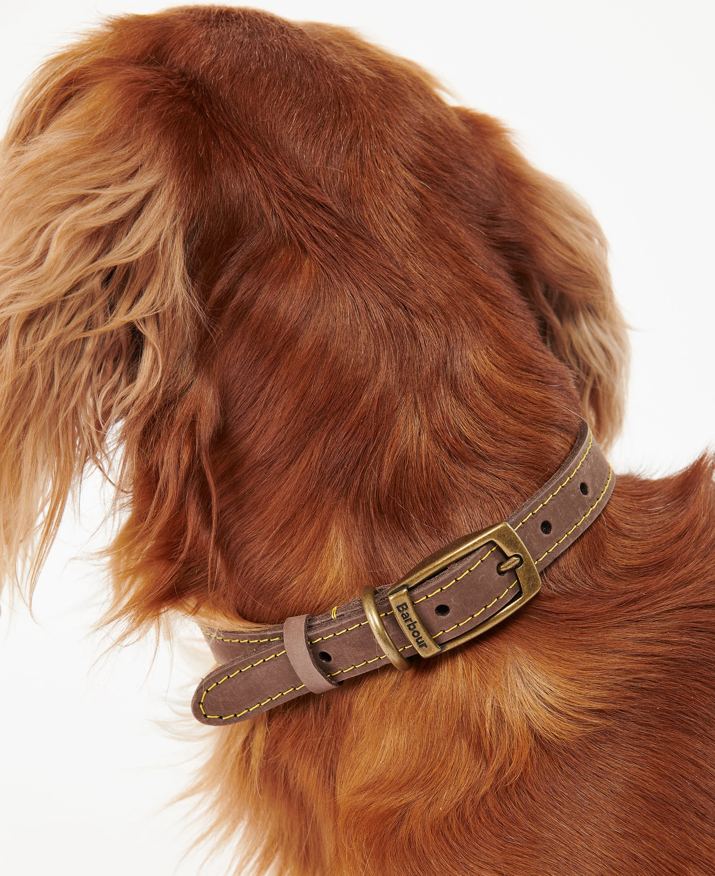 Leather Dog Collar - Image 15