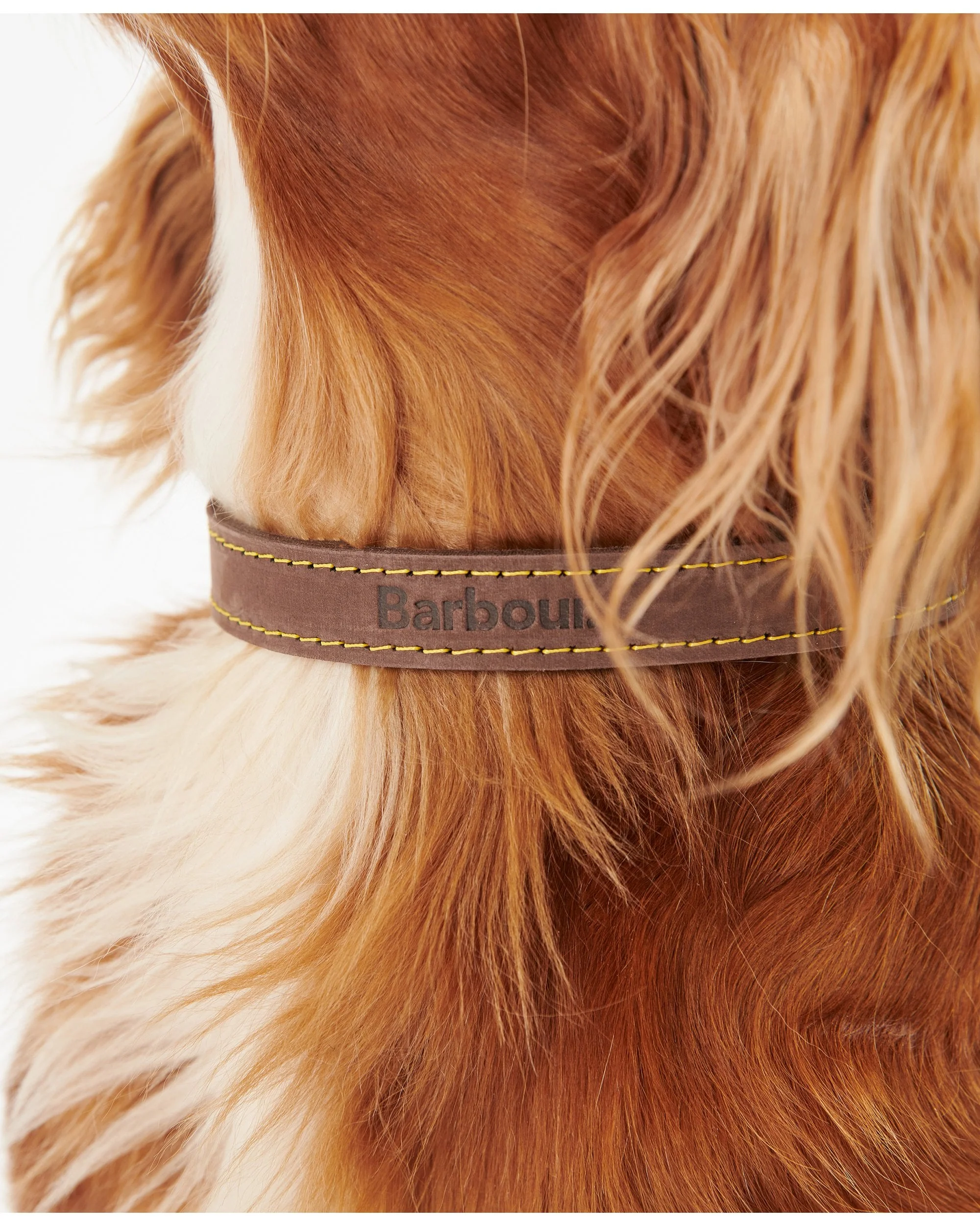 Leather Dog Collar - Image 6