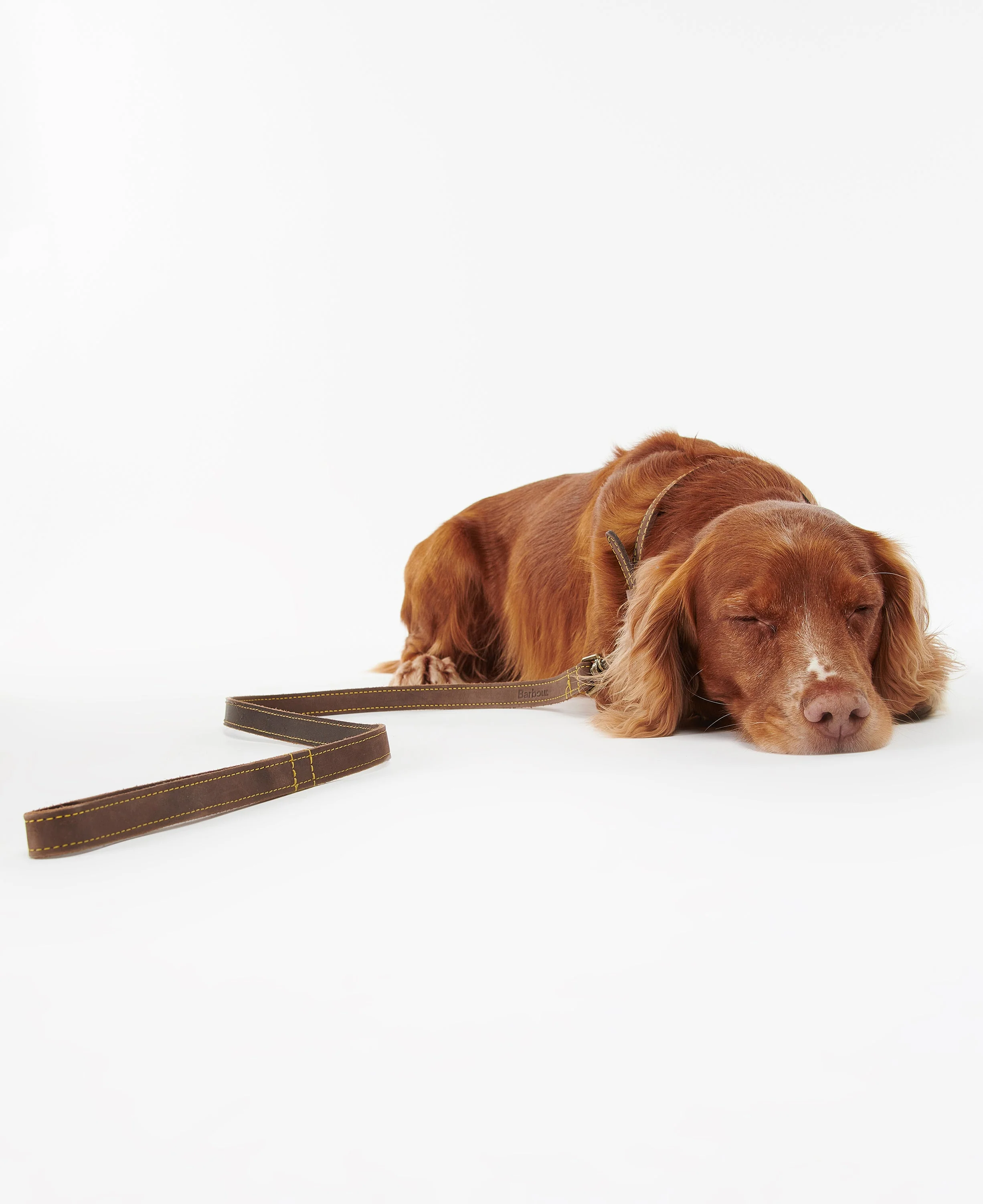 Leather Dog Lead - Image 8