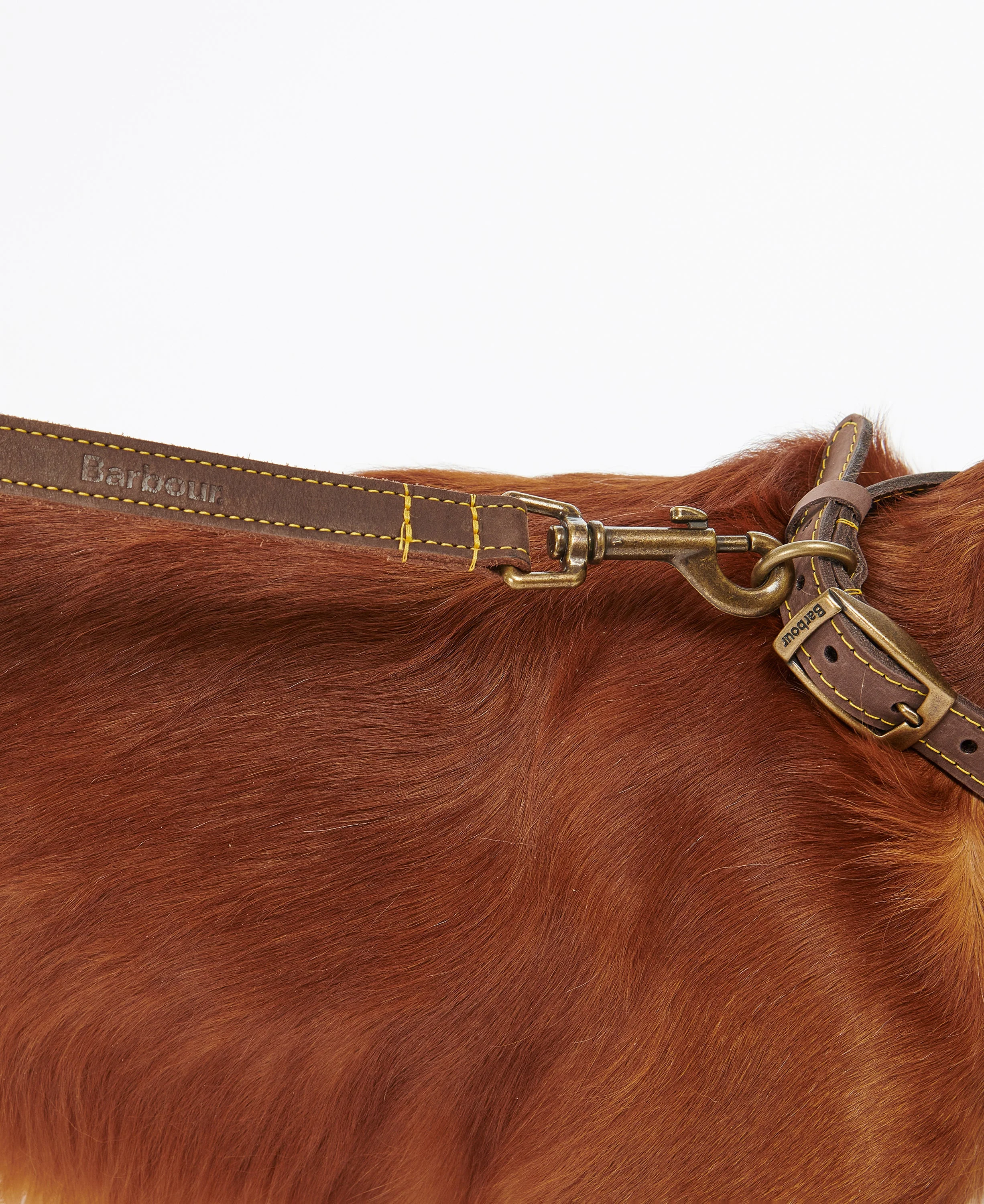 Leather Dog Lead - Image 9