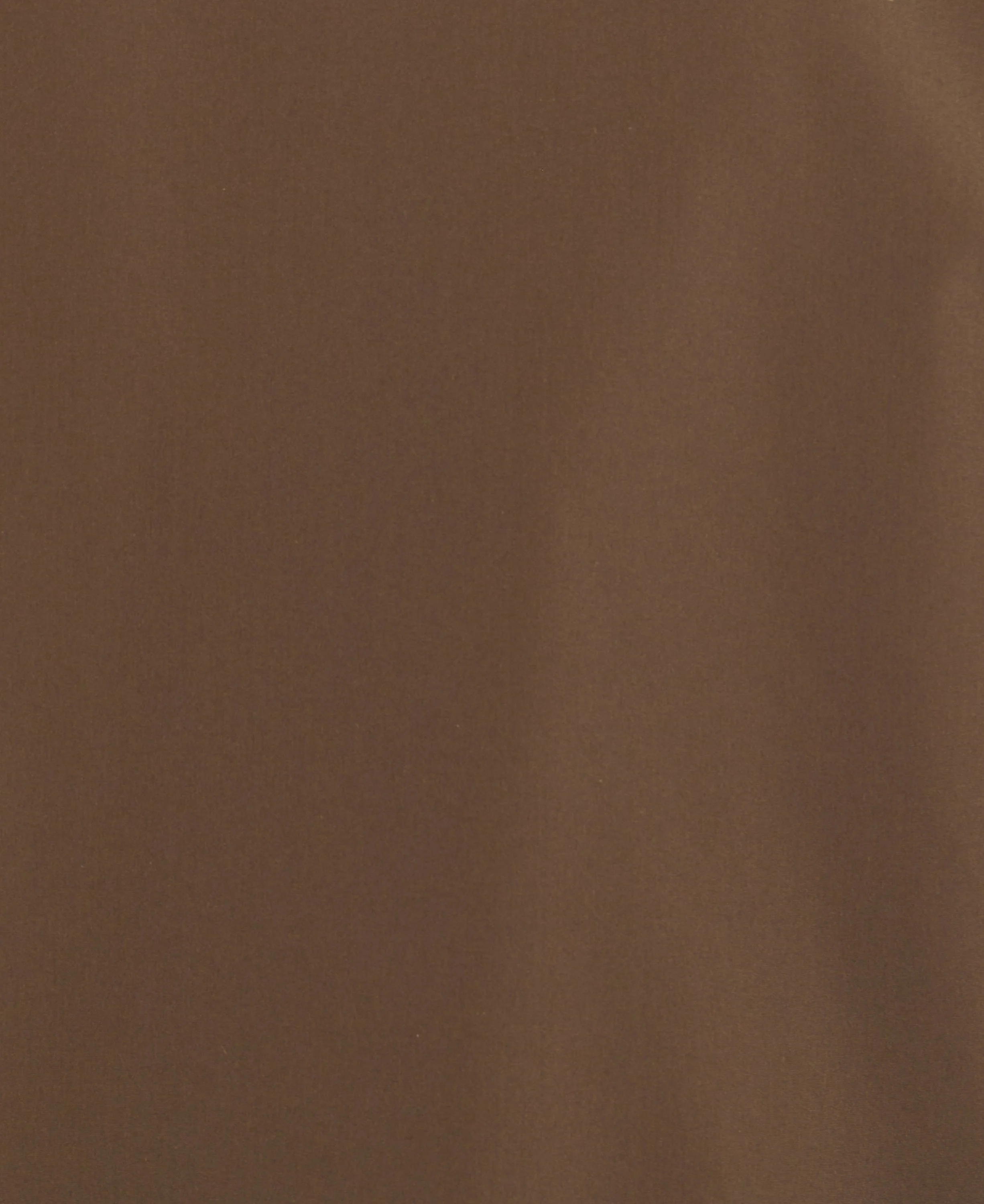 Spoonbill Jacket - Image 19