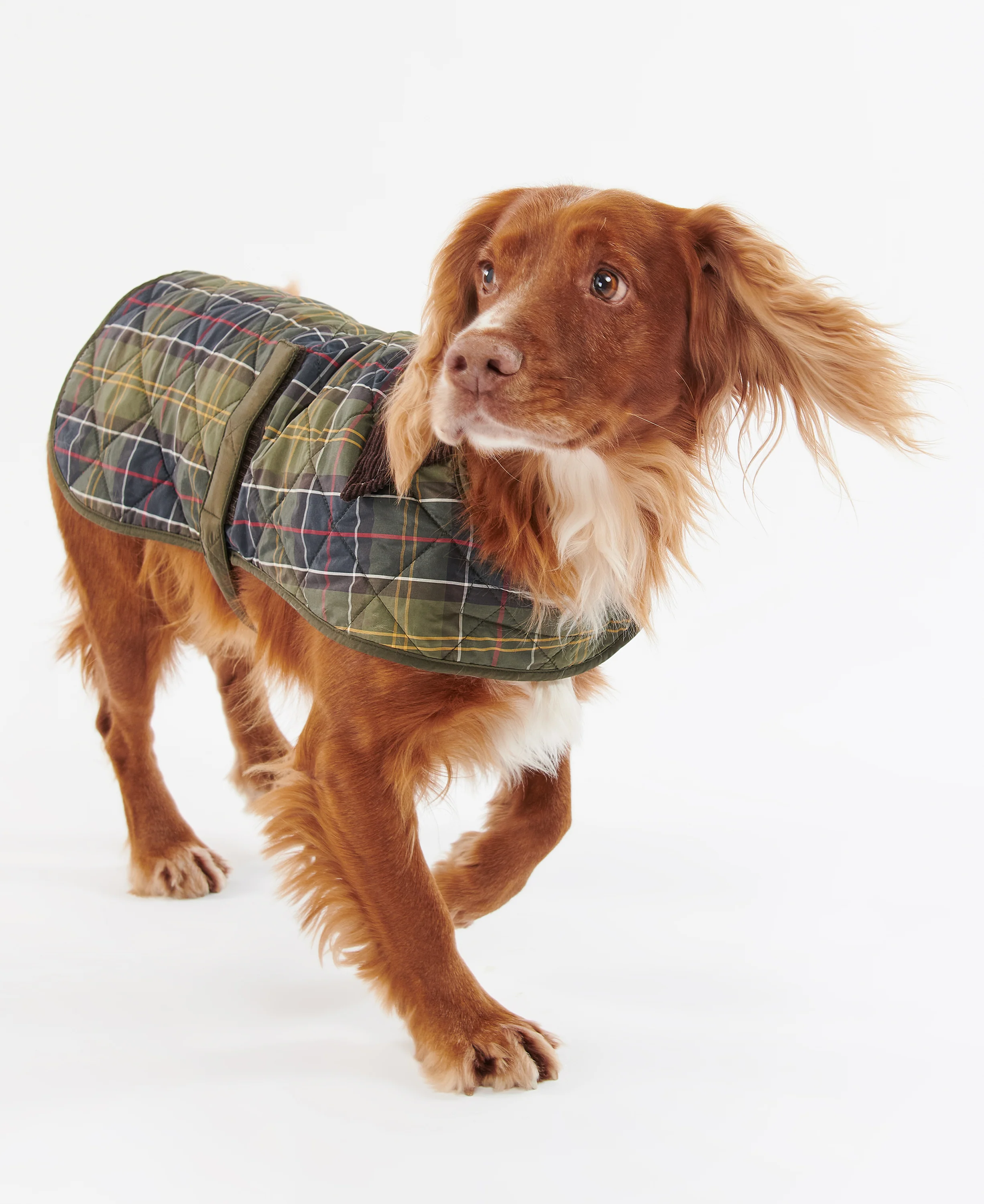 Tartan Dog Coat - Image 3
