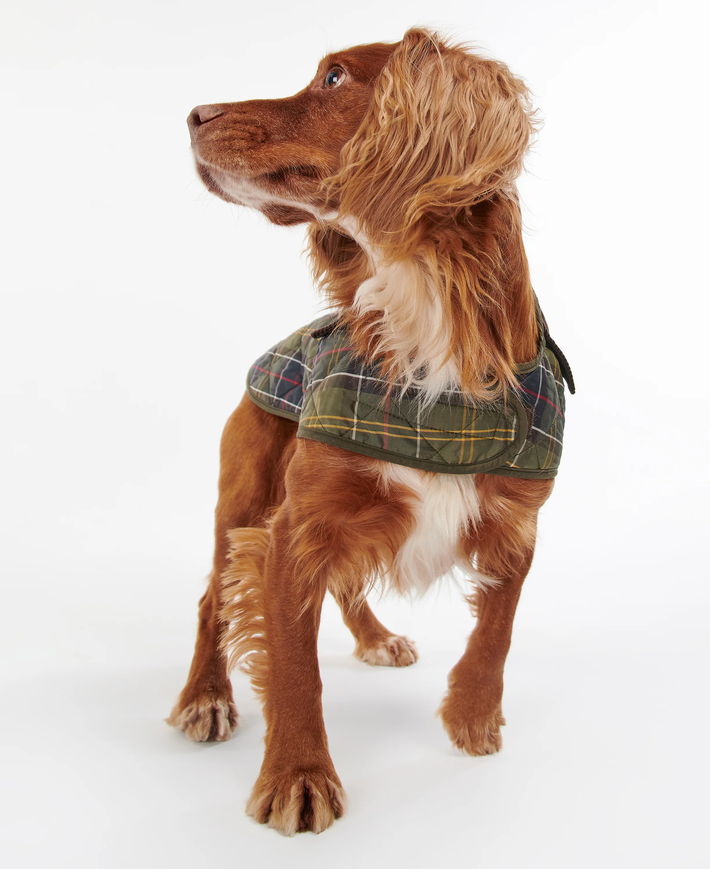 Tartan Dog Coat - Image 4