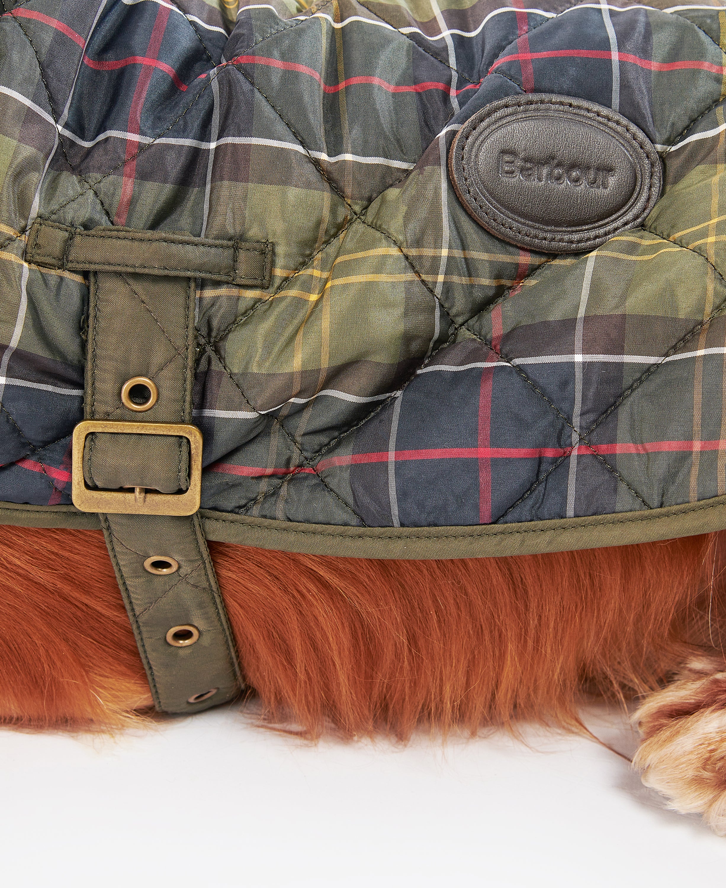 Tartan Dog Coat - Image 5