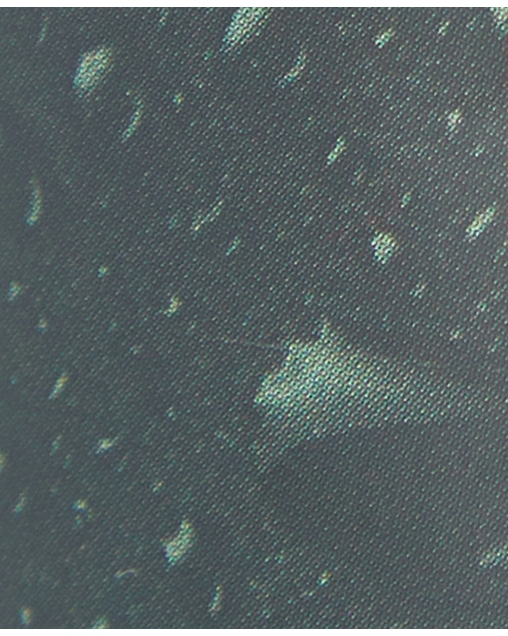 Thornproof Dressing - Image 5