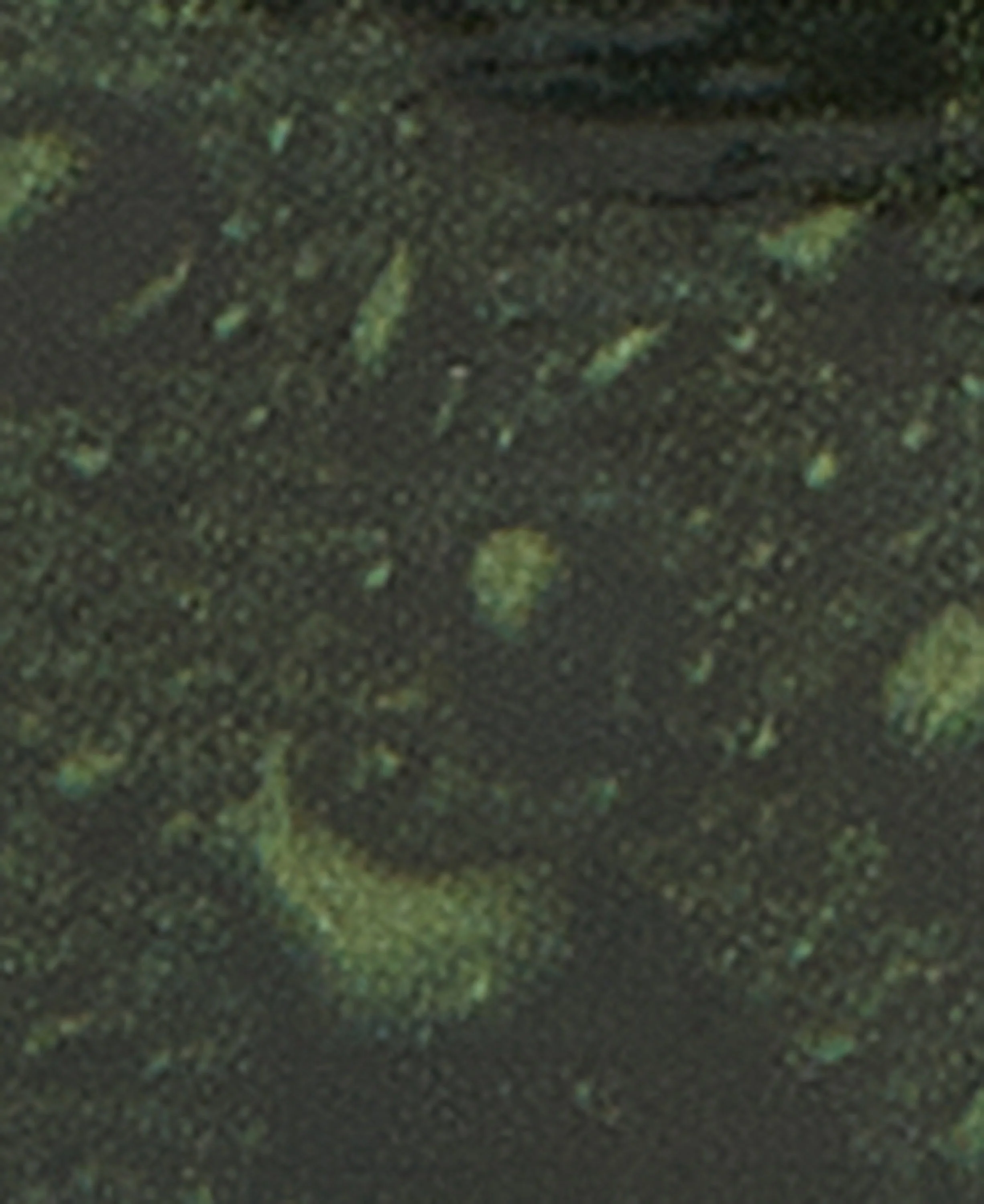 Thornproof Dressing - Image 6