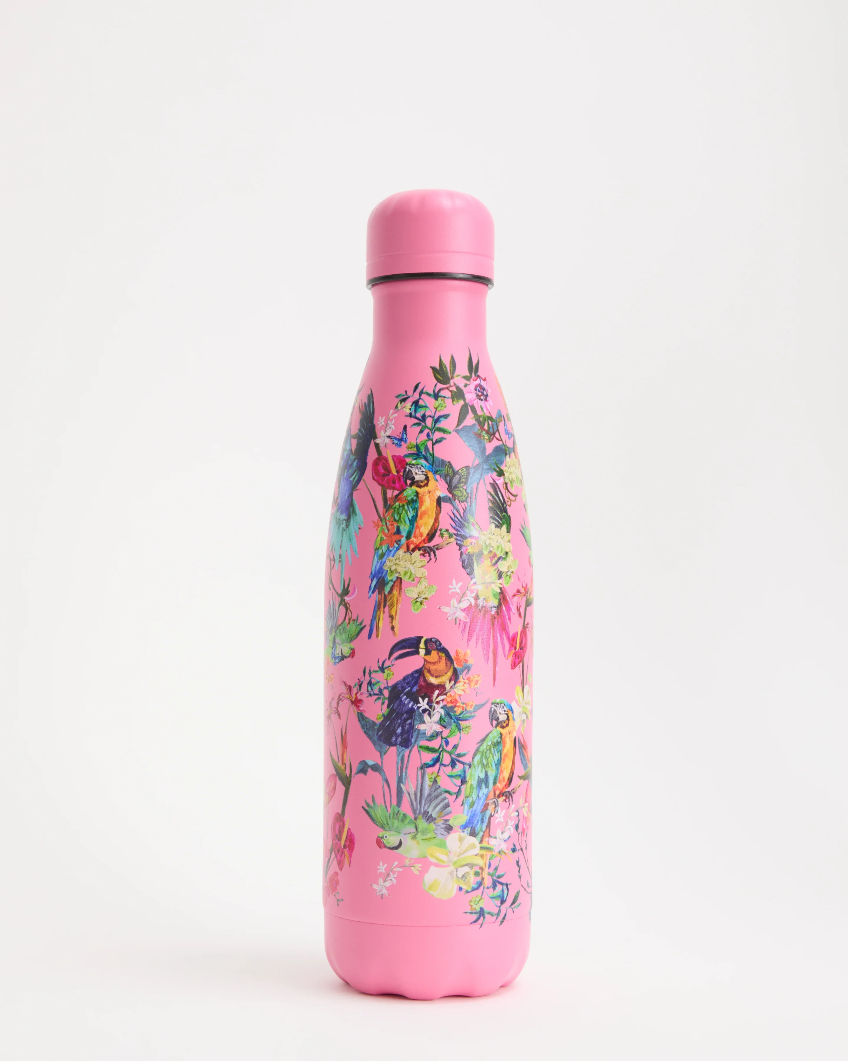 Original Macaw Madness Water Bottle 500ml - Image 2