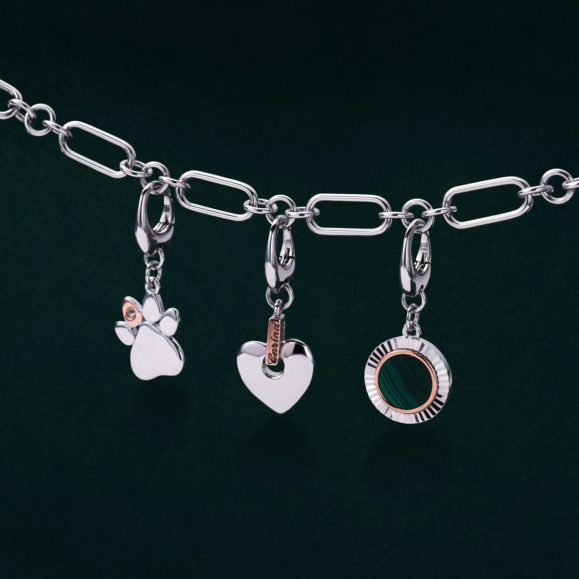 Tree of Life Insignia Silver Padarn Charm - Image 3