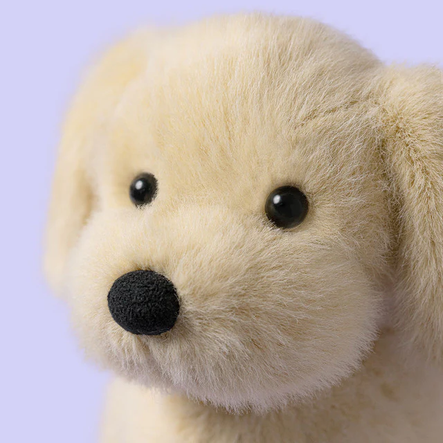 Golden Puppy - Image 3