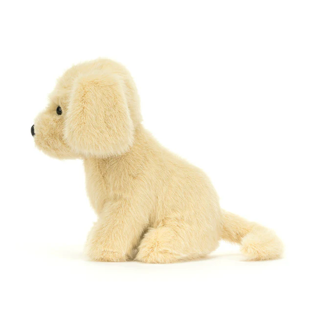 Golden Puppy - Image 4