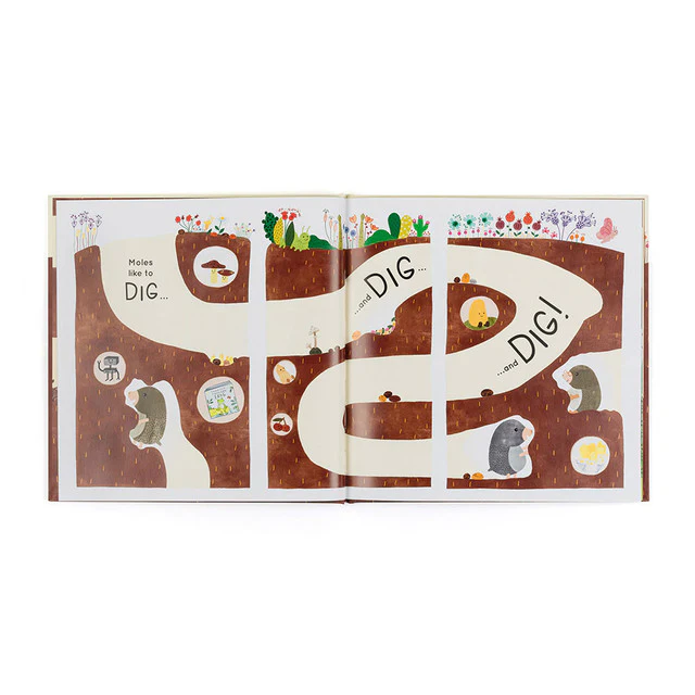 Muswell Mole and the Buried Treasure Book - Image 3