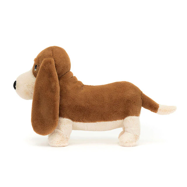 Randall Basset Hound - Image 3