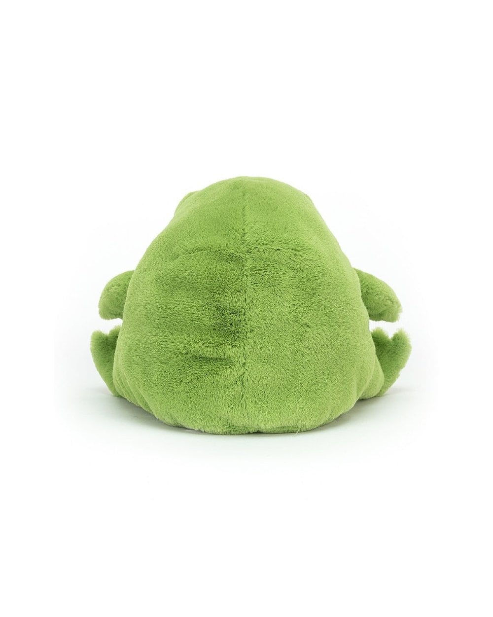 Ricky Rain Frog - Image 2