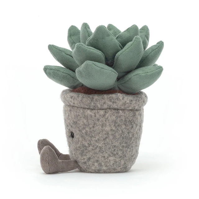 Silly Succulent Azulita - Image 3