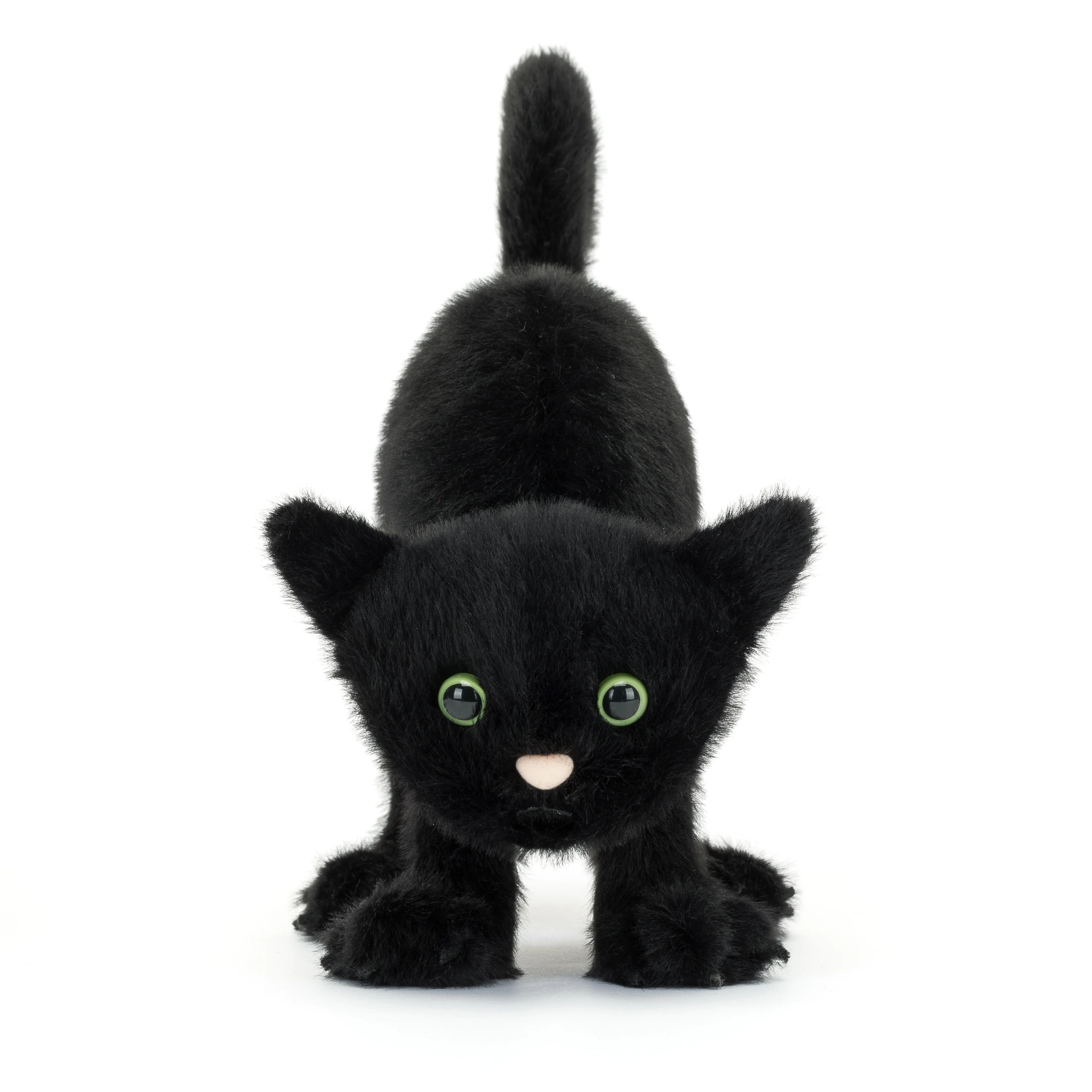 Spookipaws Cat - Image 2