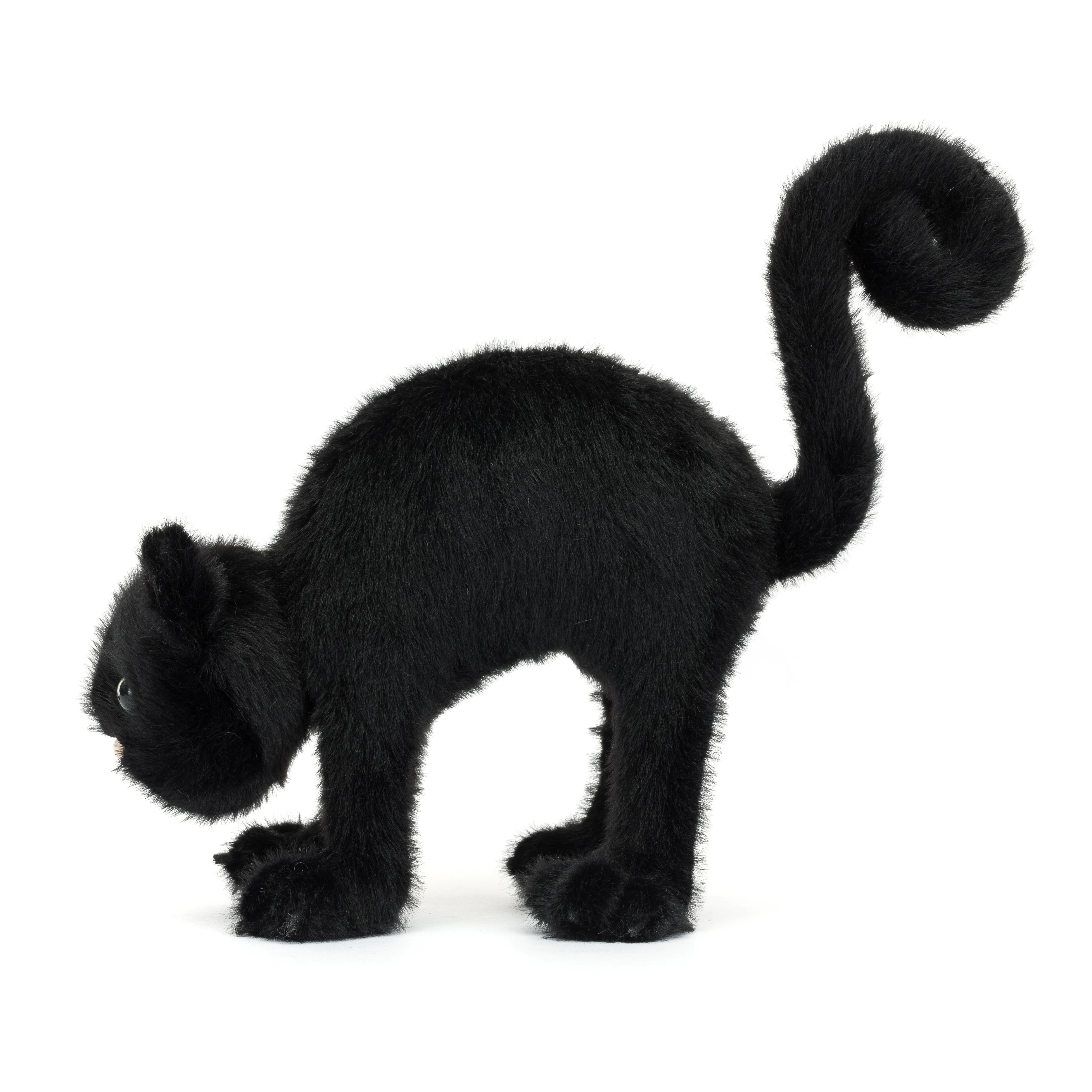 Spookipaws Cat - Image 3