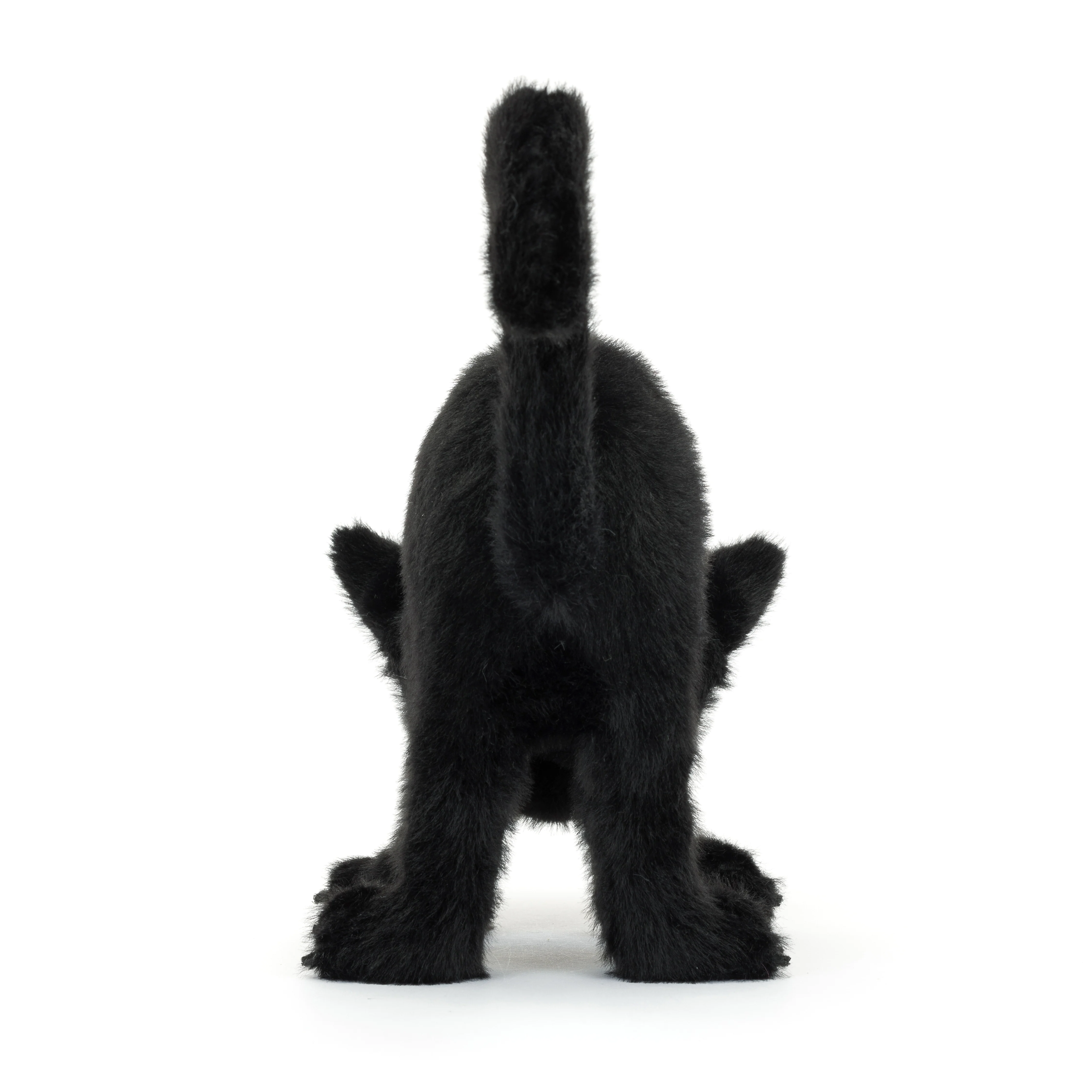 Spookipaws Cat - Image 4