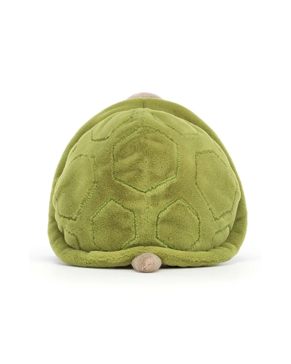 Timmy Turtle - Image 2
