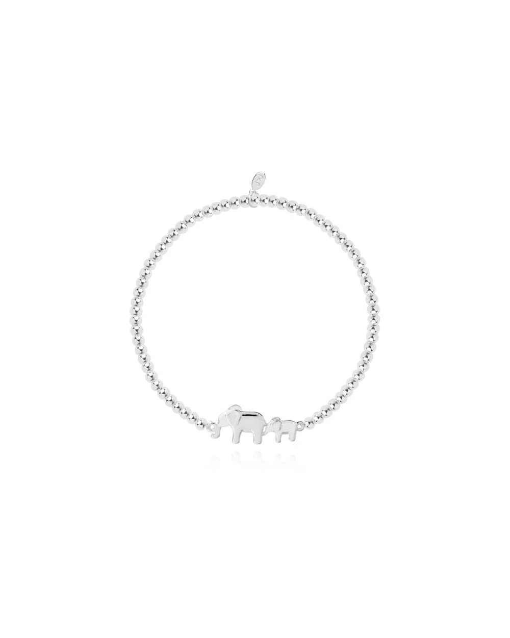 A Little Family Bracelet