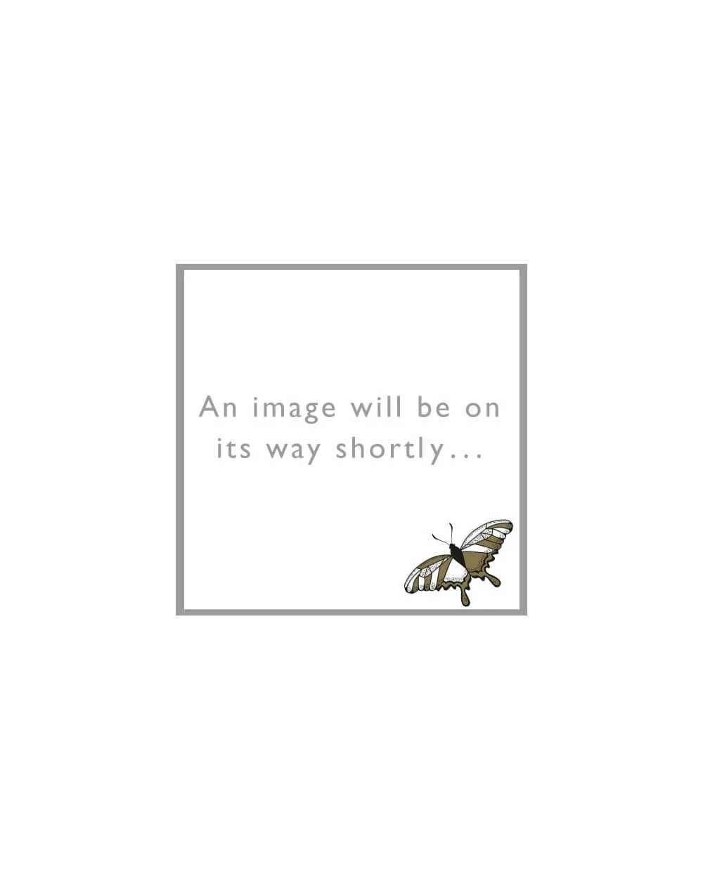 Ladies Ambion Dress With Dropped Waist And Pockets - Image 19