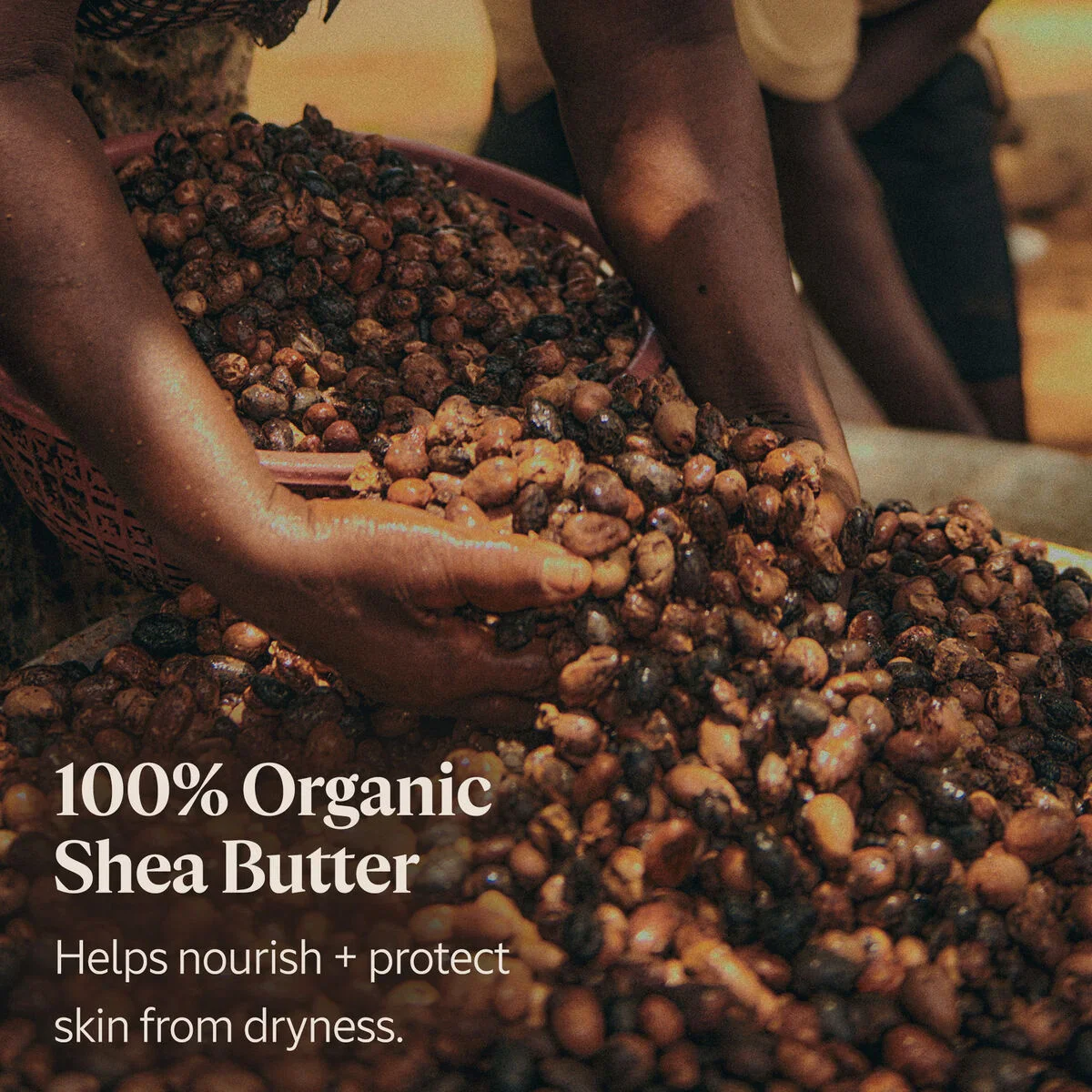 Shea Butter Rich Body Lotion 250ml - Image 4