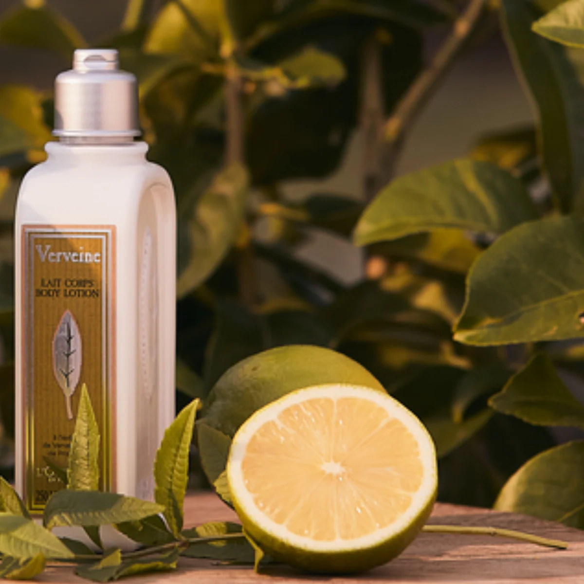 Verbena Body Lotion - Image 2