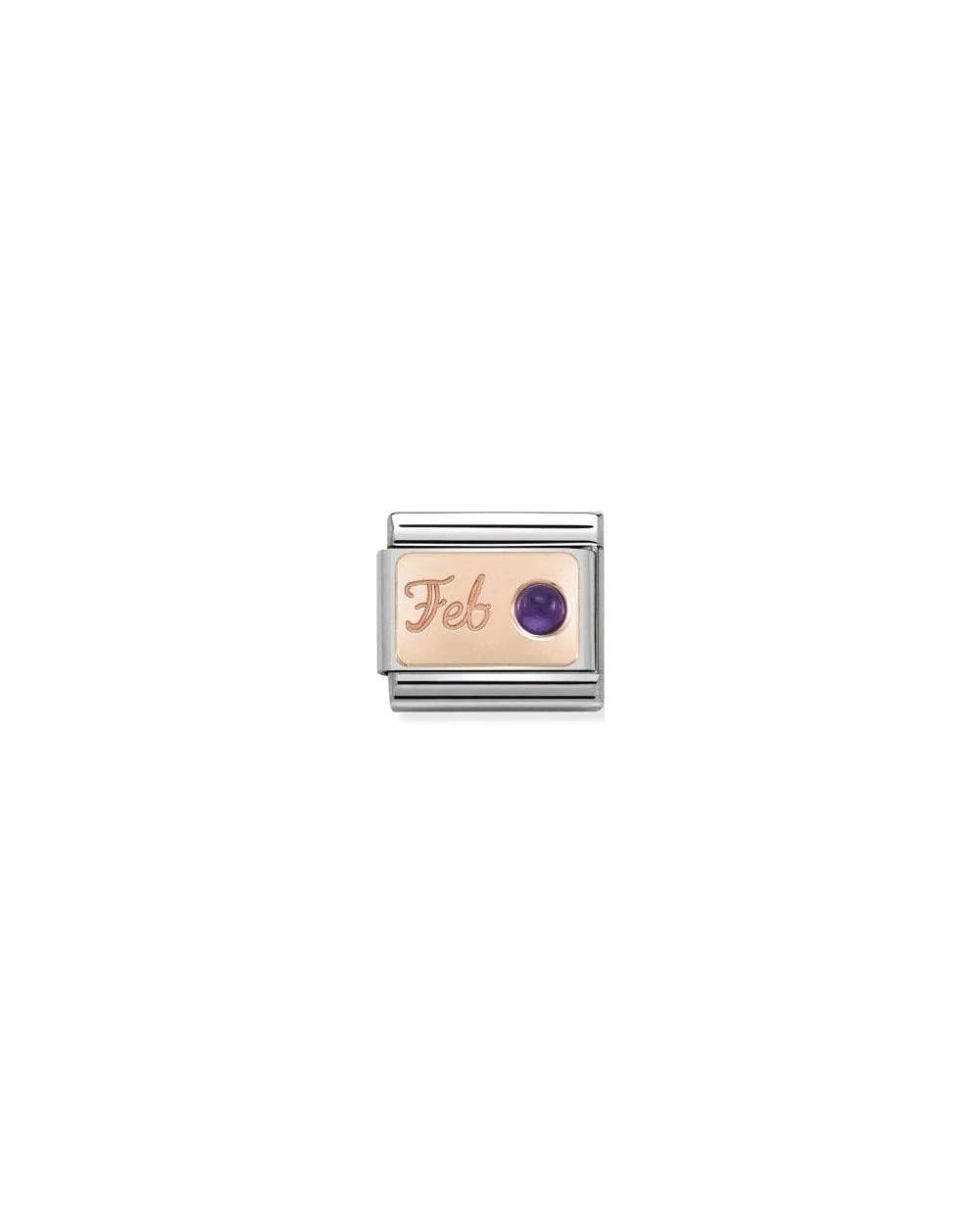 Composable Classic Stone Of Month In S, Steel And Gold 375 (02_February Amethyst)