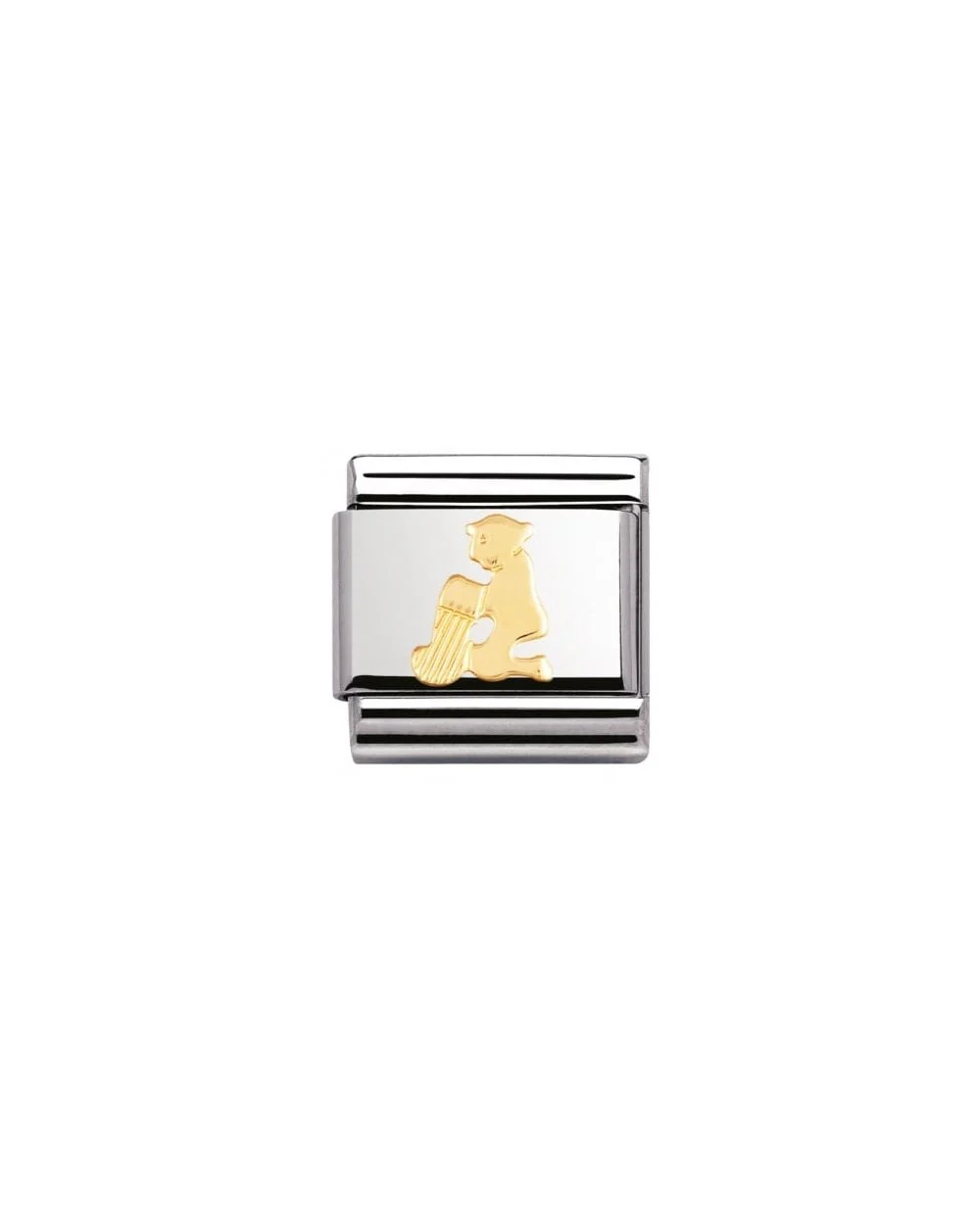 Stainless Steel And 18K Gold Zodiac Aquarius