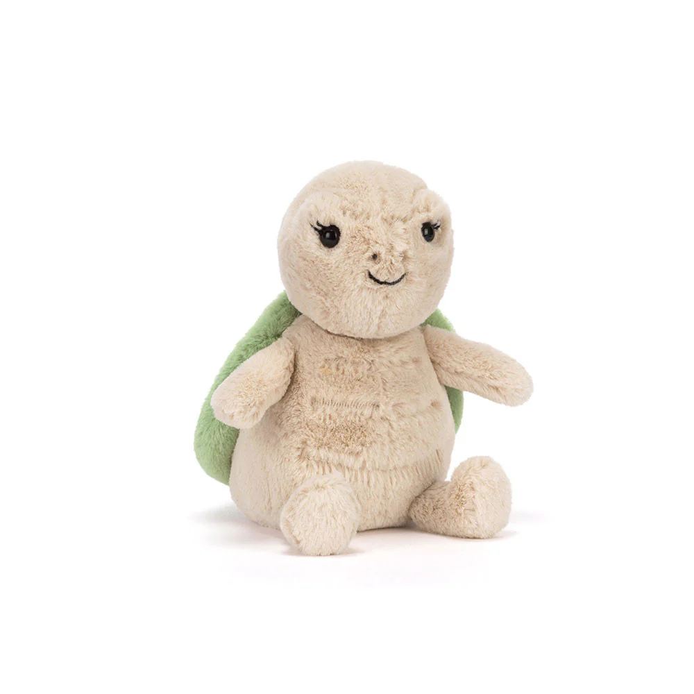 Thimble Turtle - Image 2
