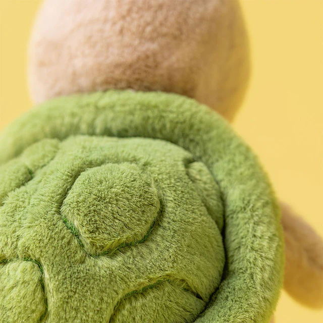 Thimble Turtle - Image 3