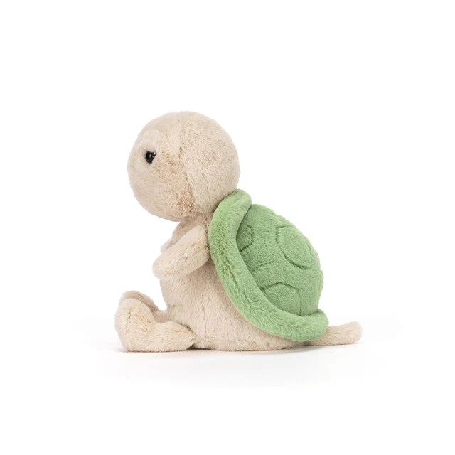 Thimble Turtle - Image 4