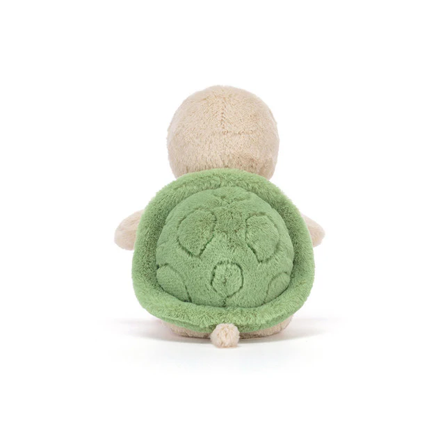 Thimble Turtle - Image 5