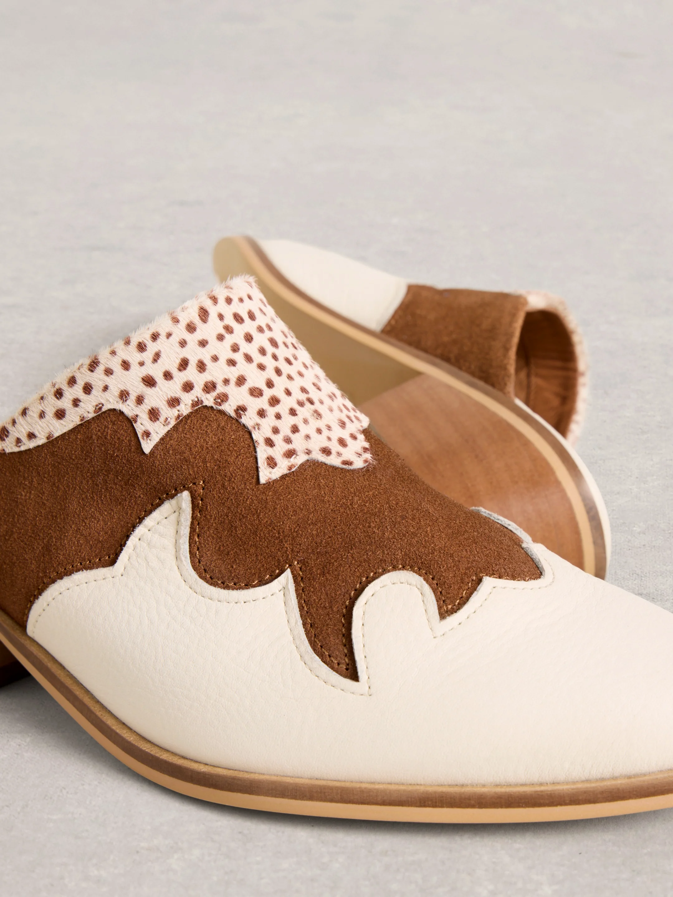 Western Mule - Image 2